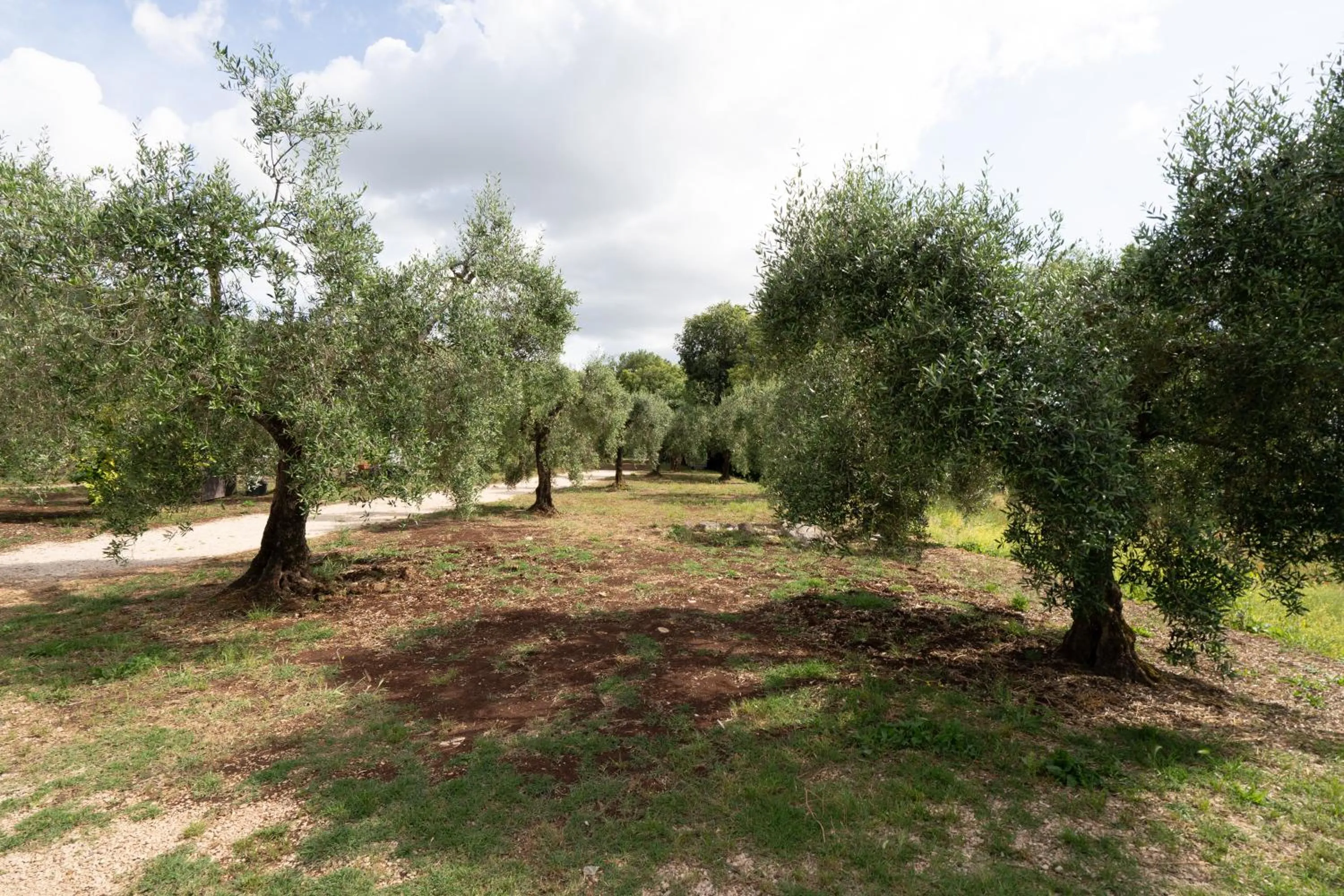 Natural landscape in Agriturismo Country Casale Rufo