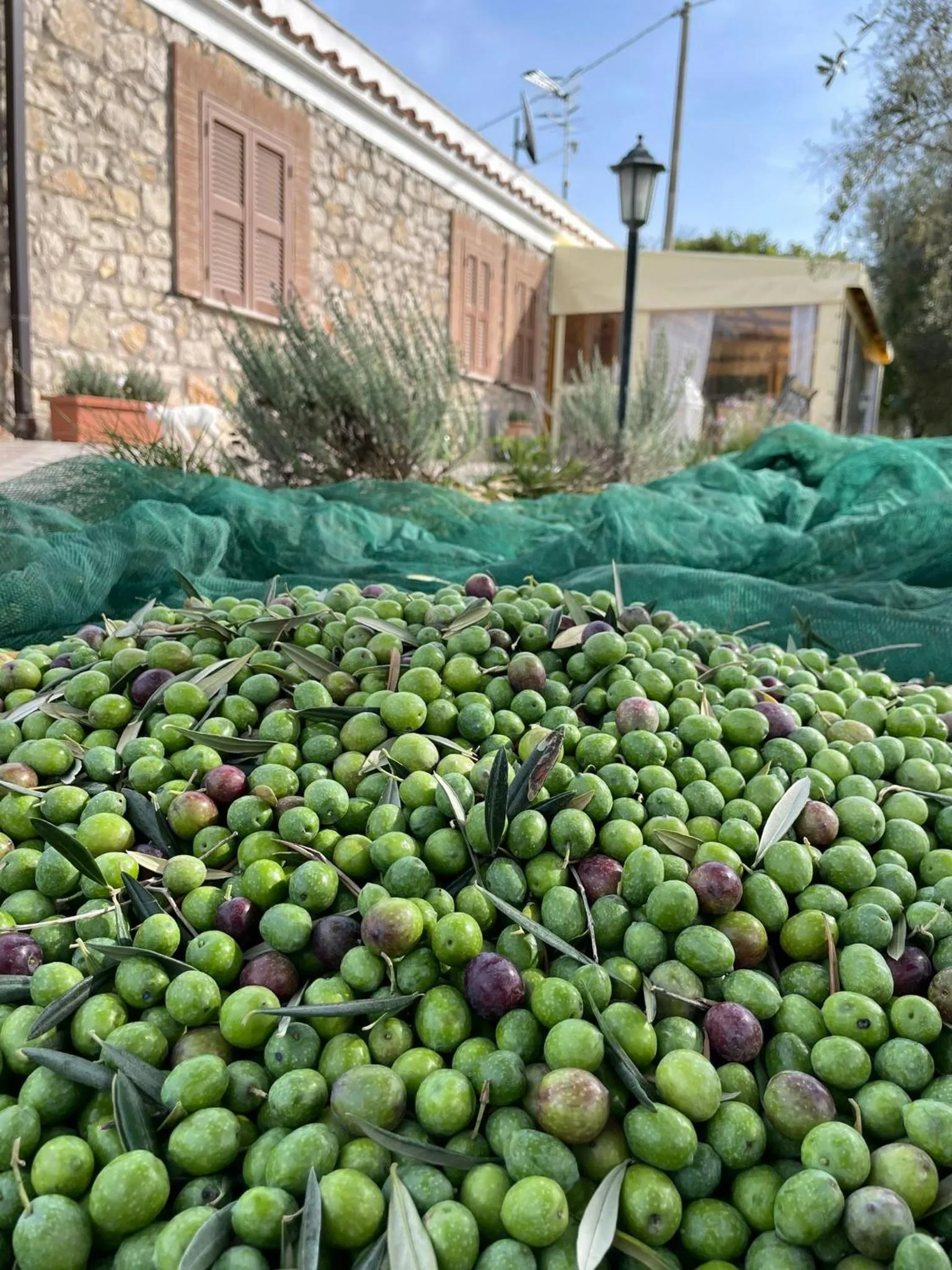 Food in Agriturismo Country Casale Rufo