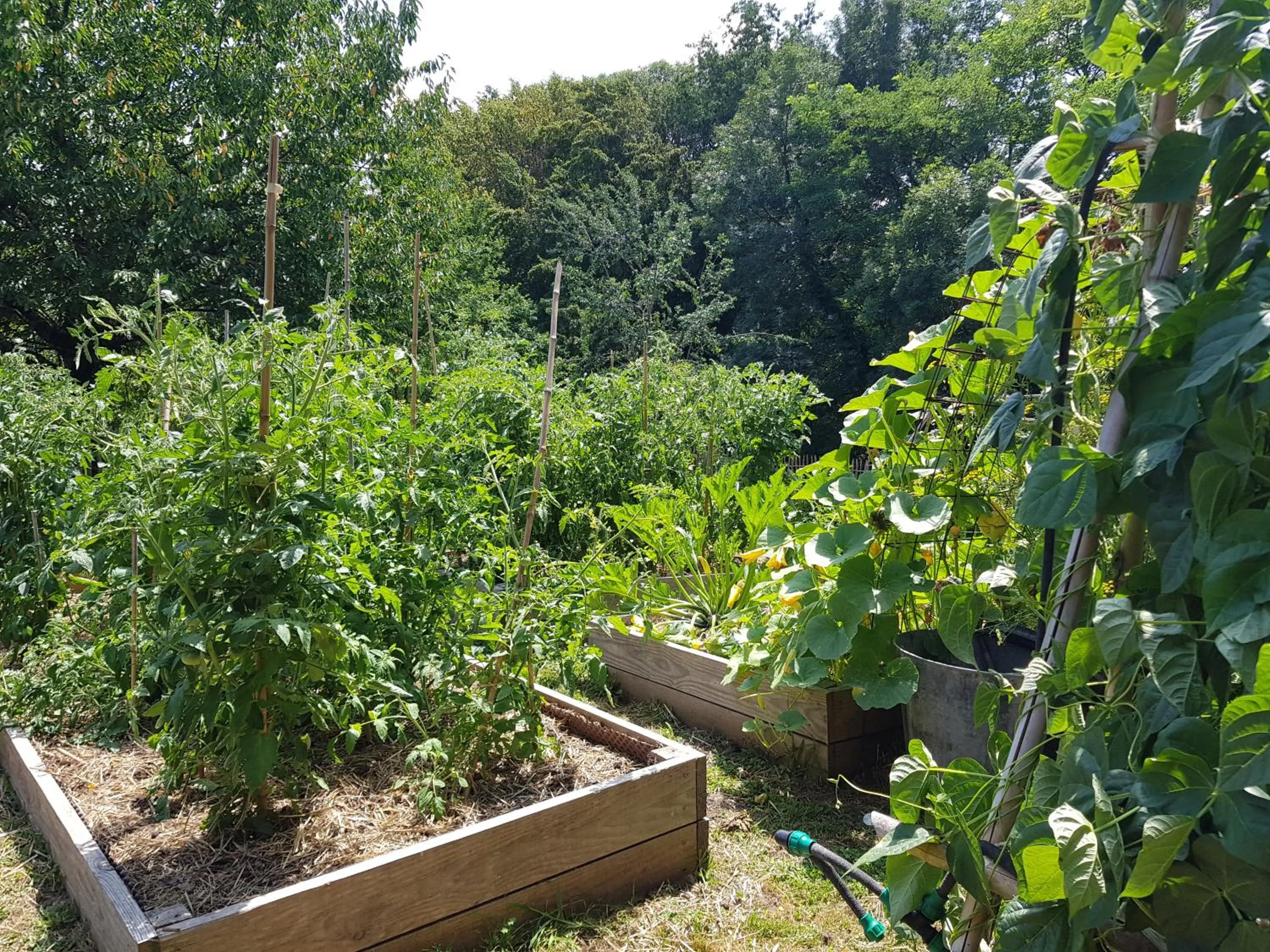 Garden in Château de Lalande - Teritoria - Périgueux