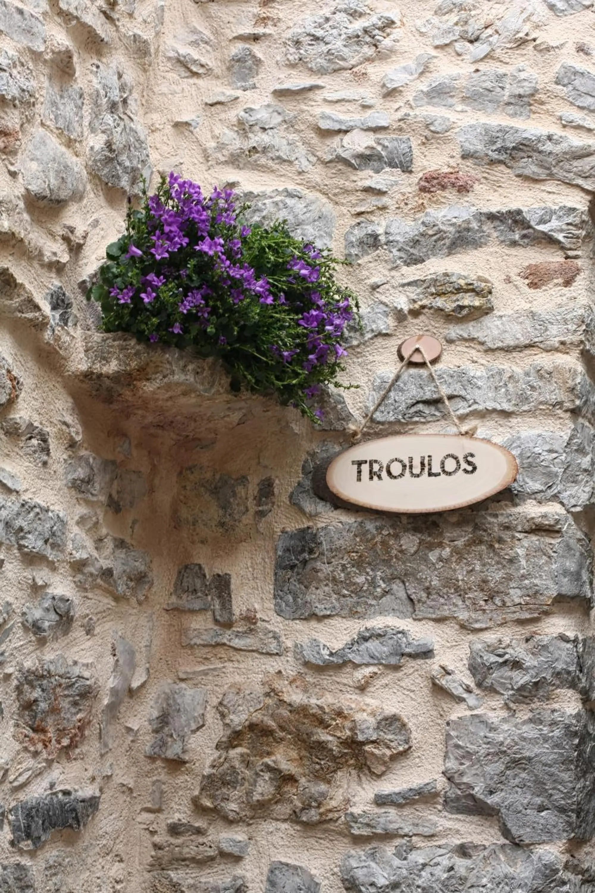Logo/Certificate/Sign in Mesta Mastic