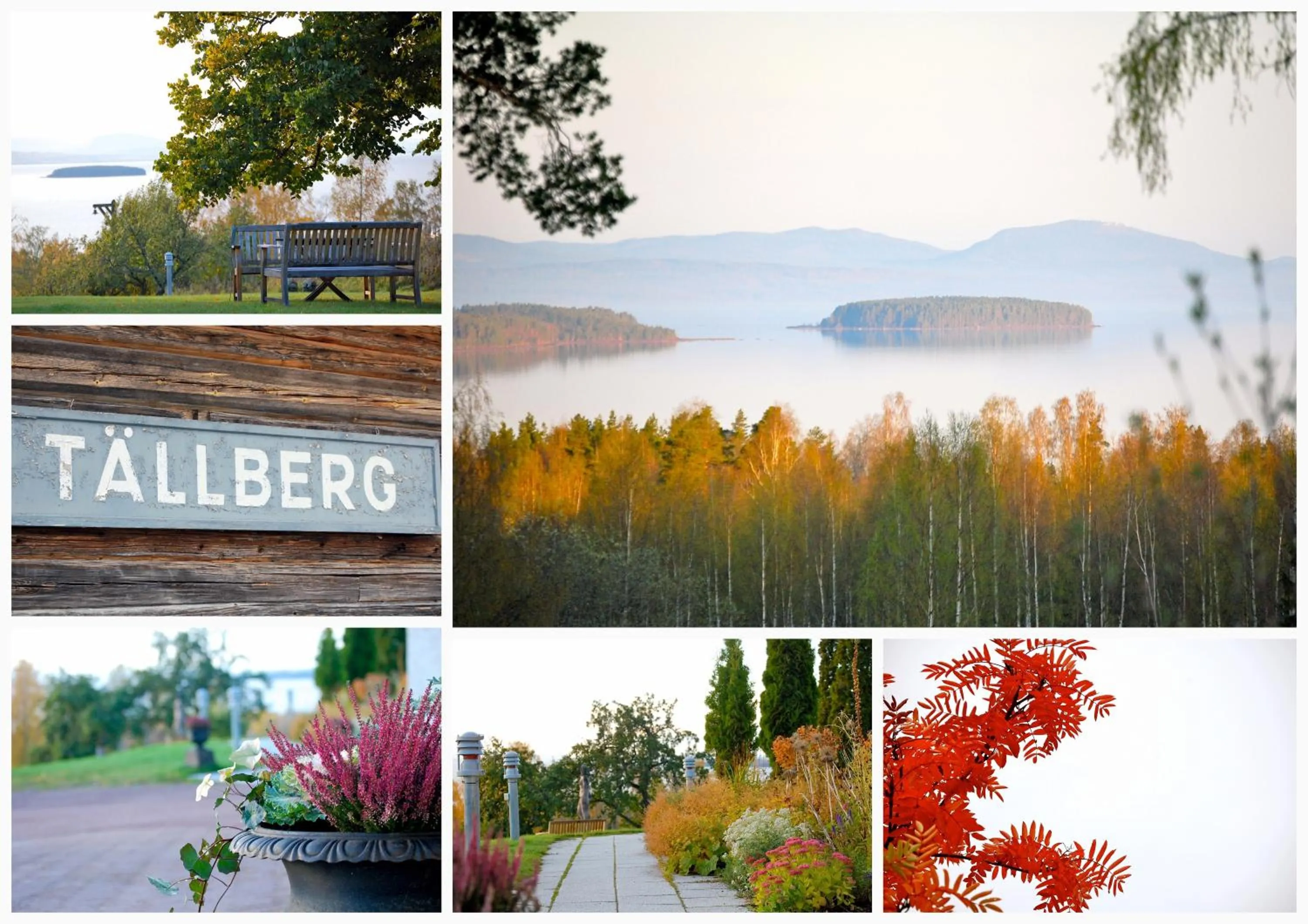 View (from property/room) in Dalecarlia Hotel & Spa, BW Premier Collection