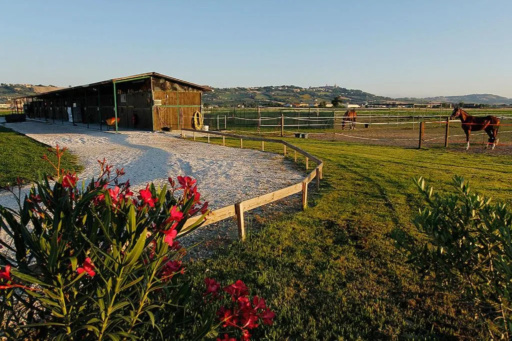 View (from property/room) in B&B Centro Ippico Andrea