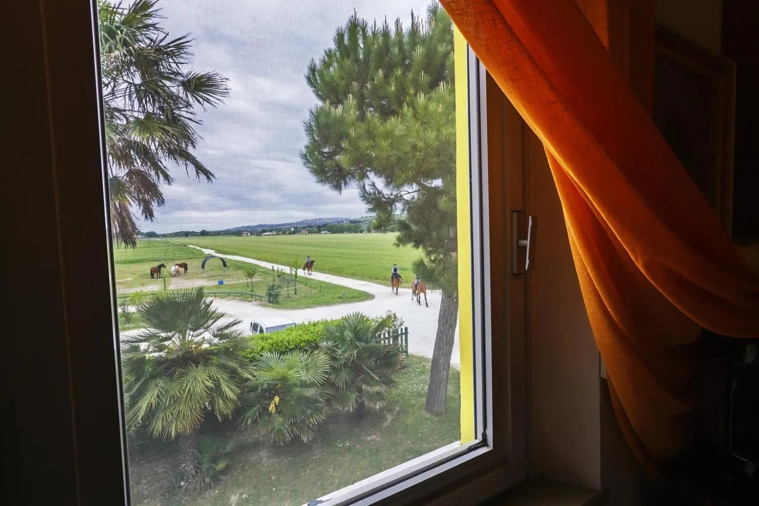 Street view in B&B Centro Ippico Andrea