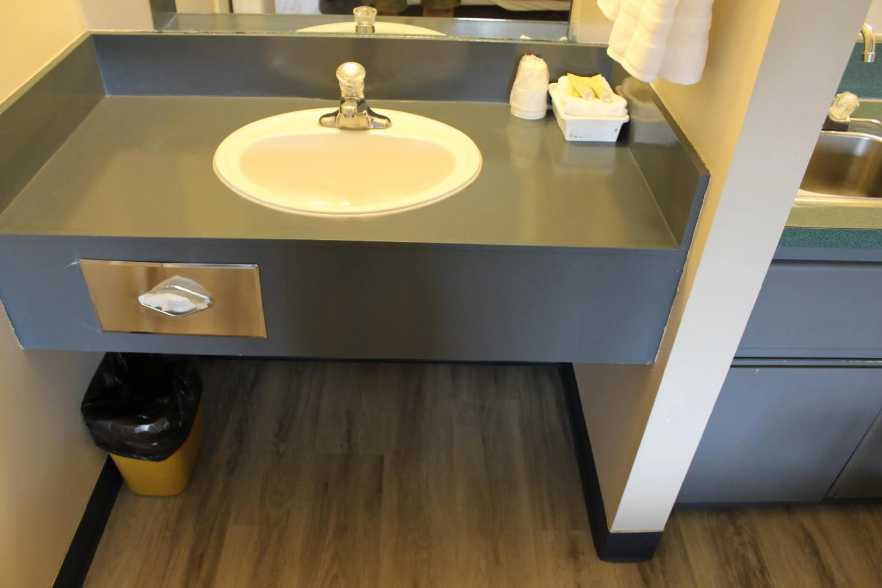 Bathroom in Plains Motor Inn