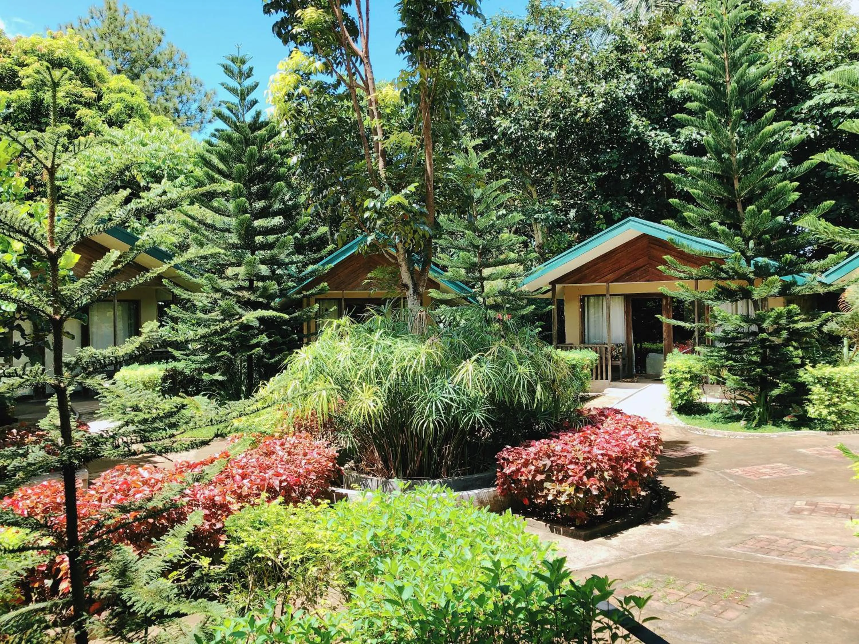 Ted's Bed and Breakfast