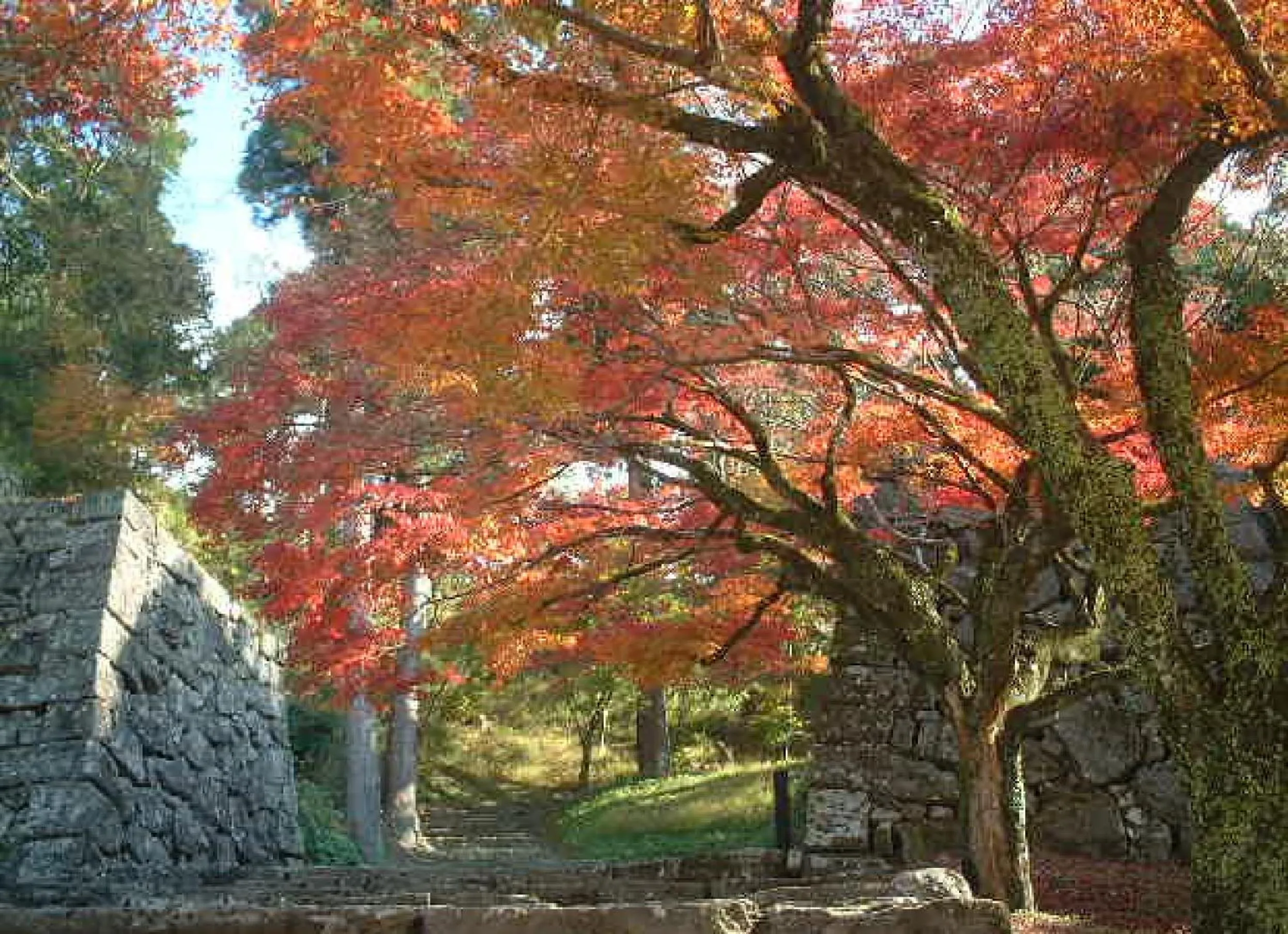 Activities in Hotel Sun Hitoyoshi
