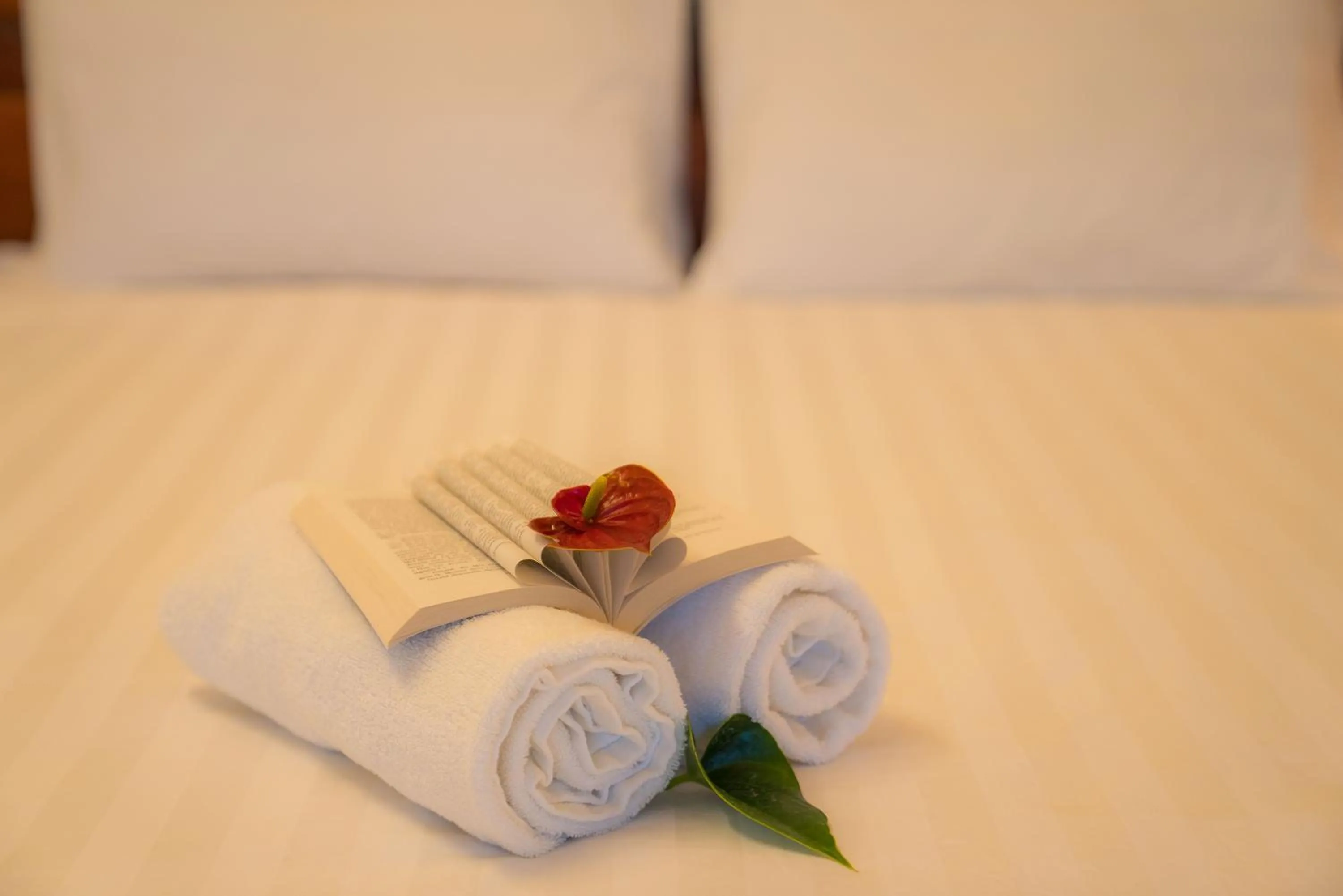 Bed in Thinh Phuc Homestay