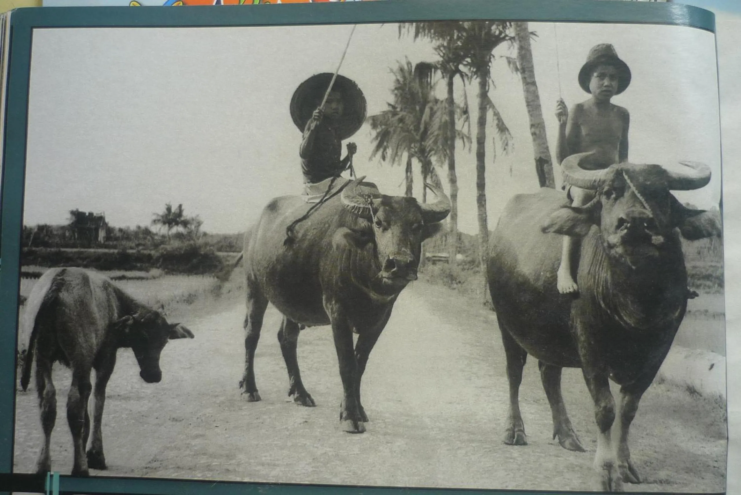 Nearby landmark in Thinh Phuc Homestay