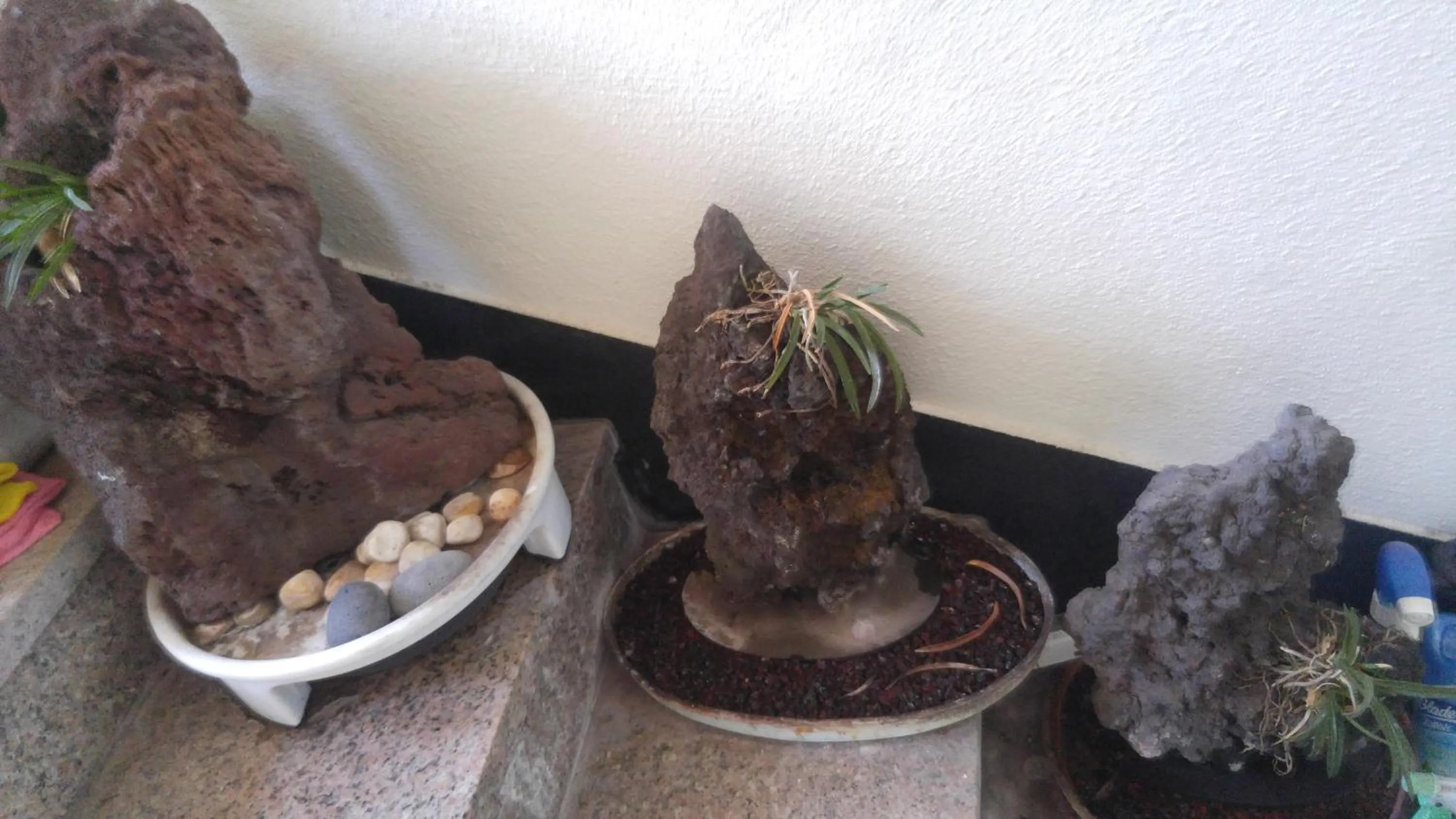 Other in Sea Dragon Pension