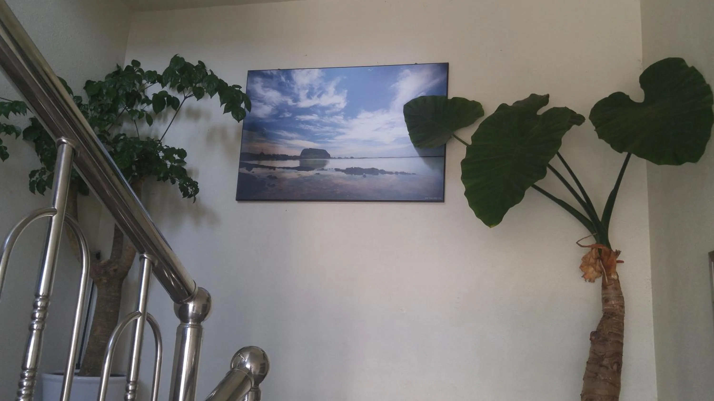 Other in Sea Dragon Pension