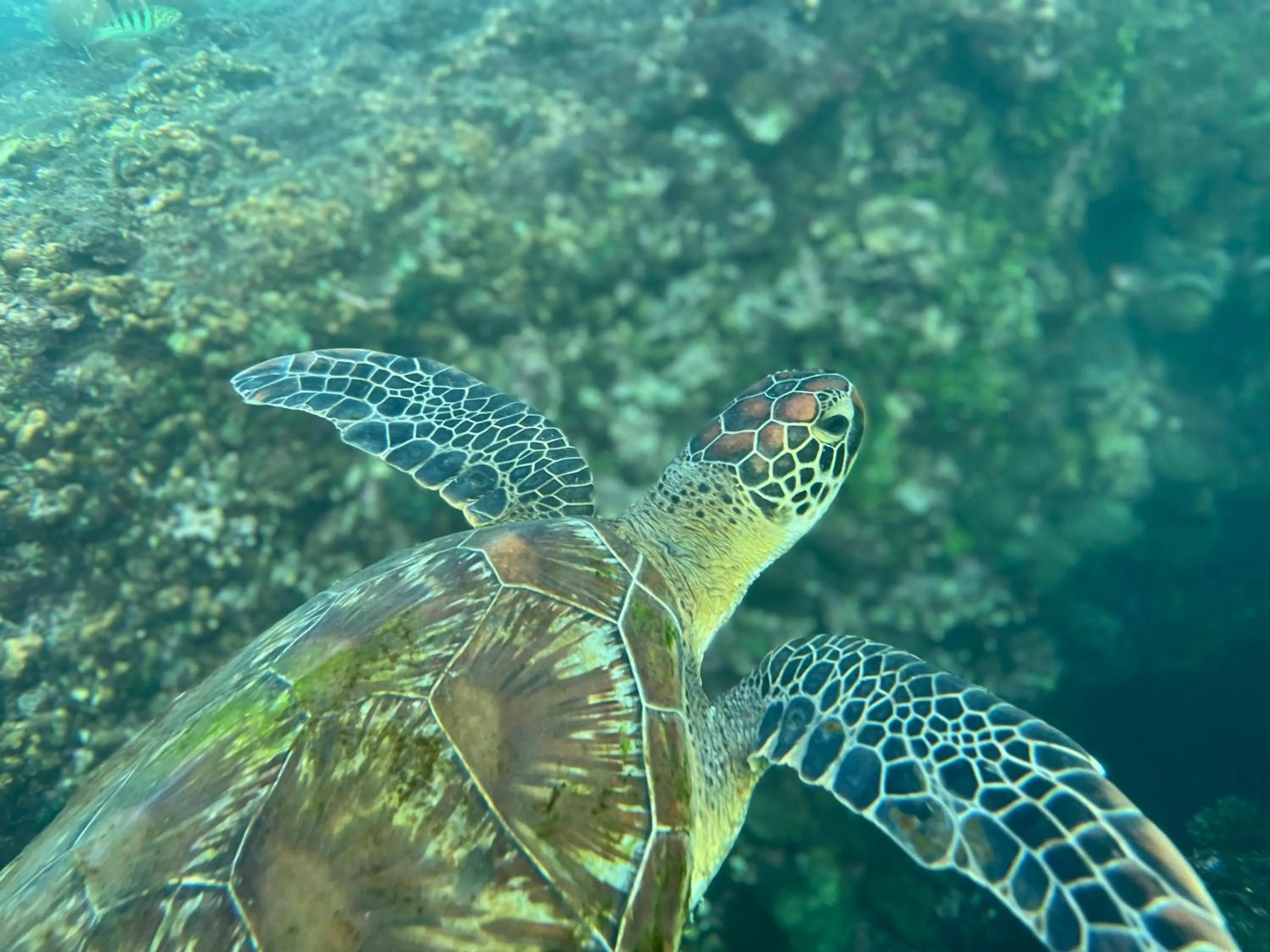 Natural landscape in Kenting COMIC B&B&SPRING