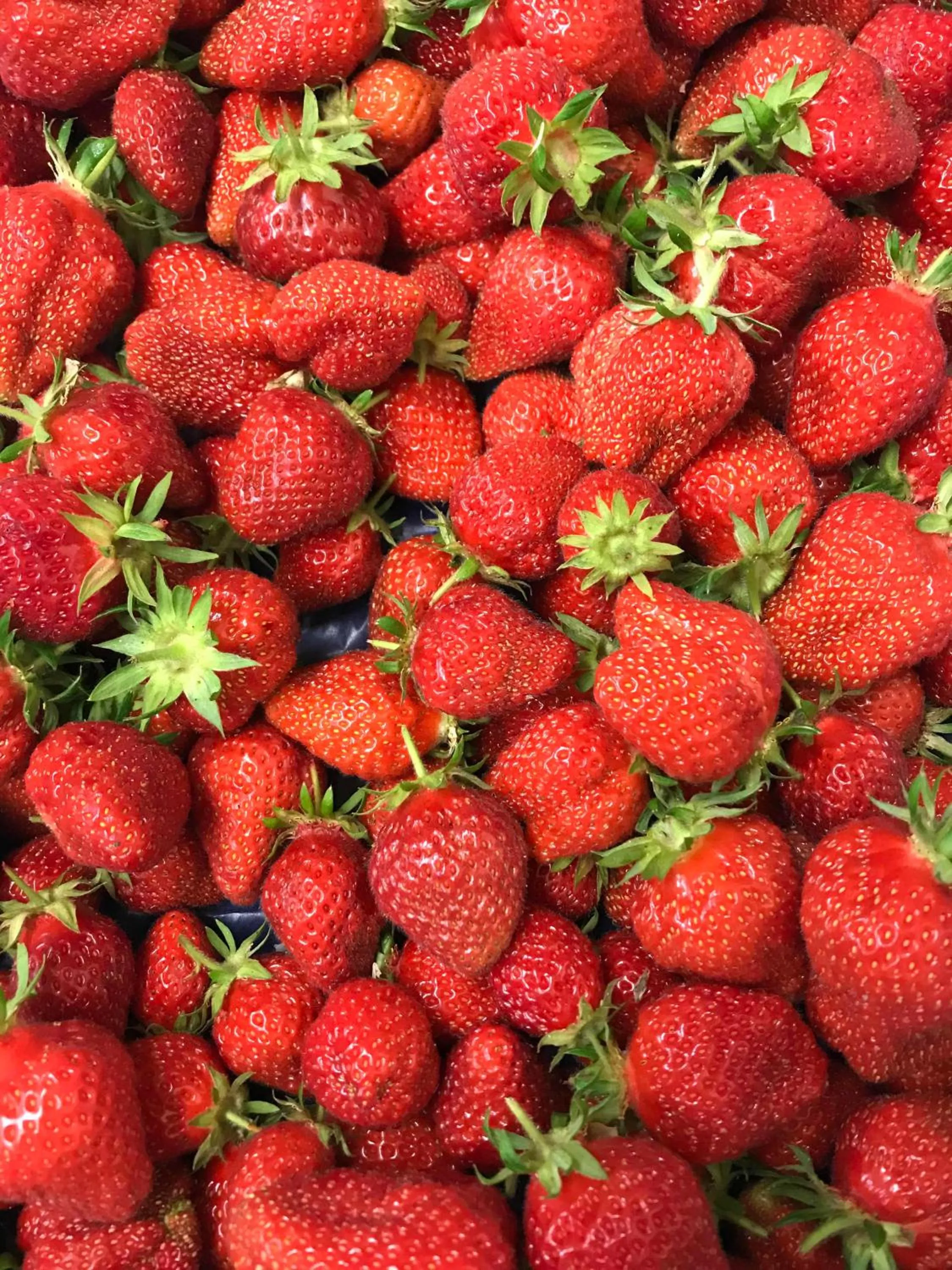 Restaurant/places to eat in Le Relais De La Place