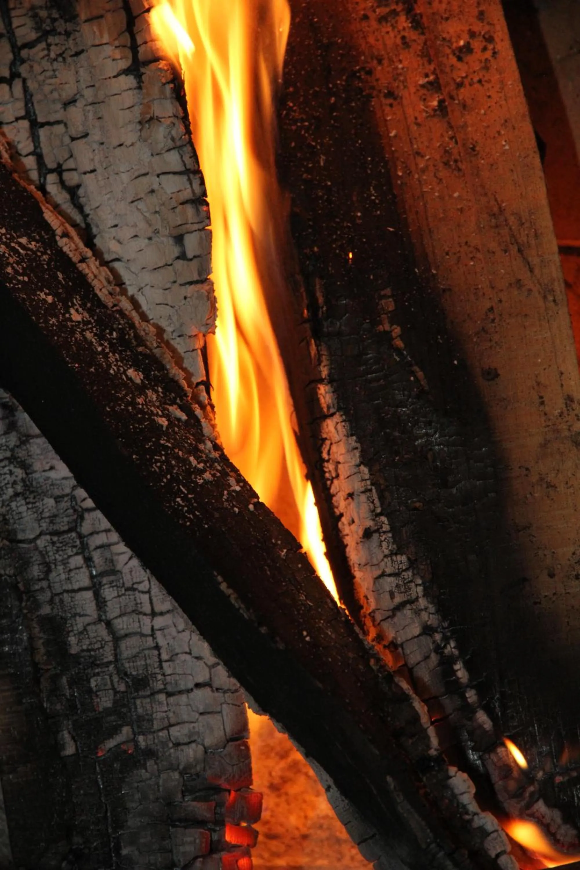 Restaurant/places to eat in Logis Hôtel Le Central