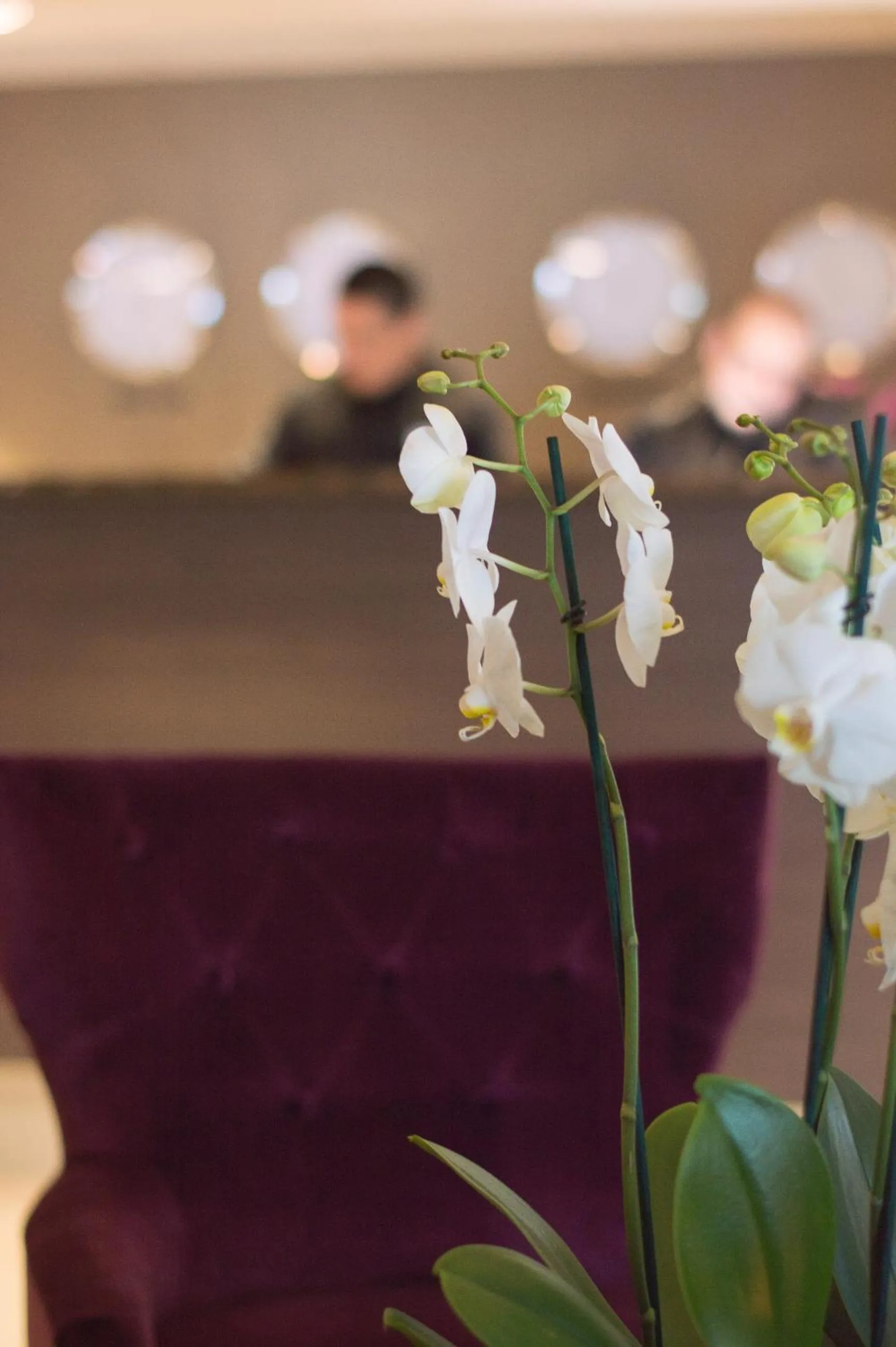 Lobby or reception in Best Western Plus Park Airport Hotel