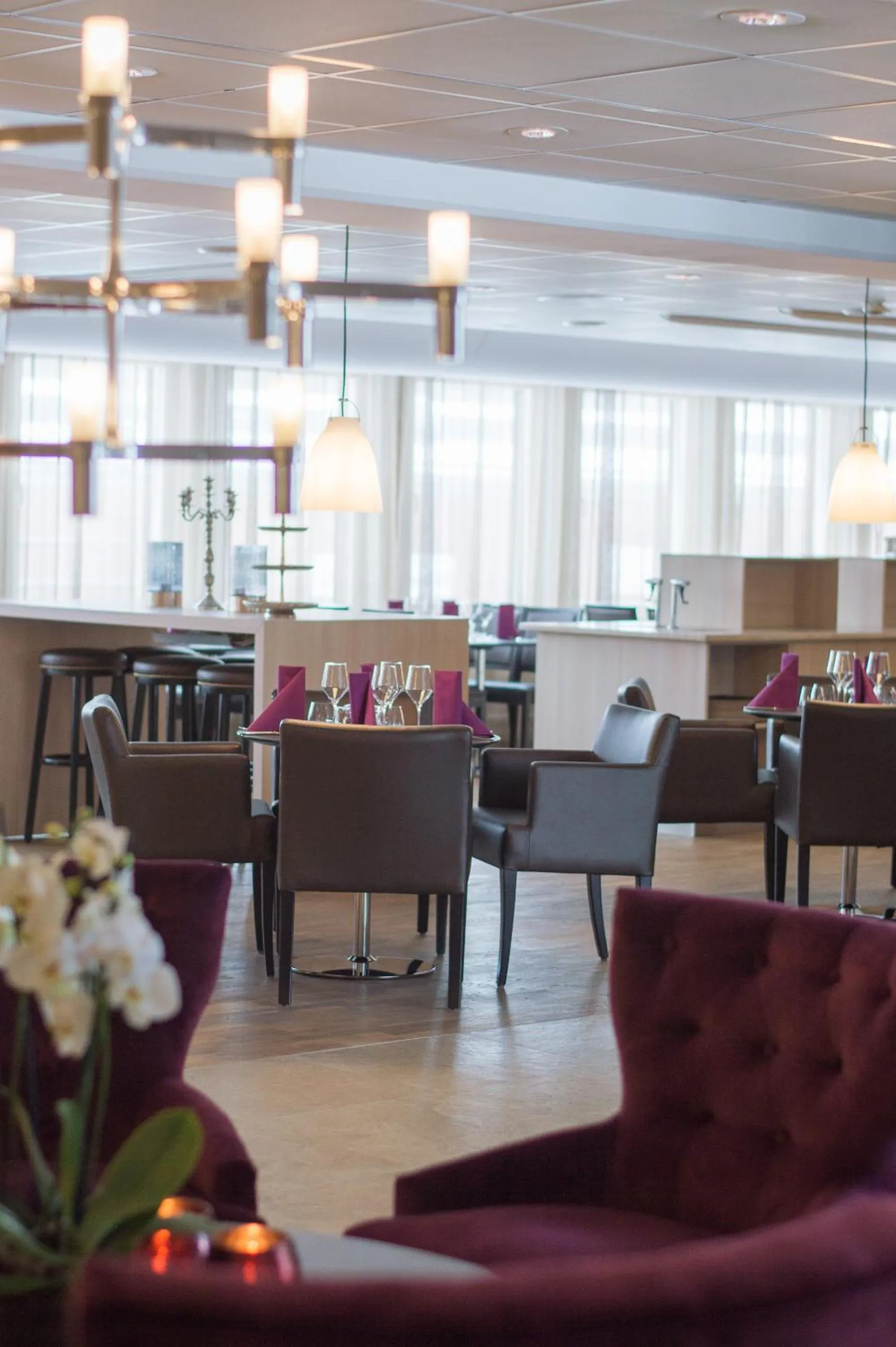 Restaurant/places to eat in Best Western Plus Park Airport Hotel