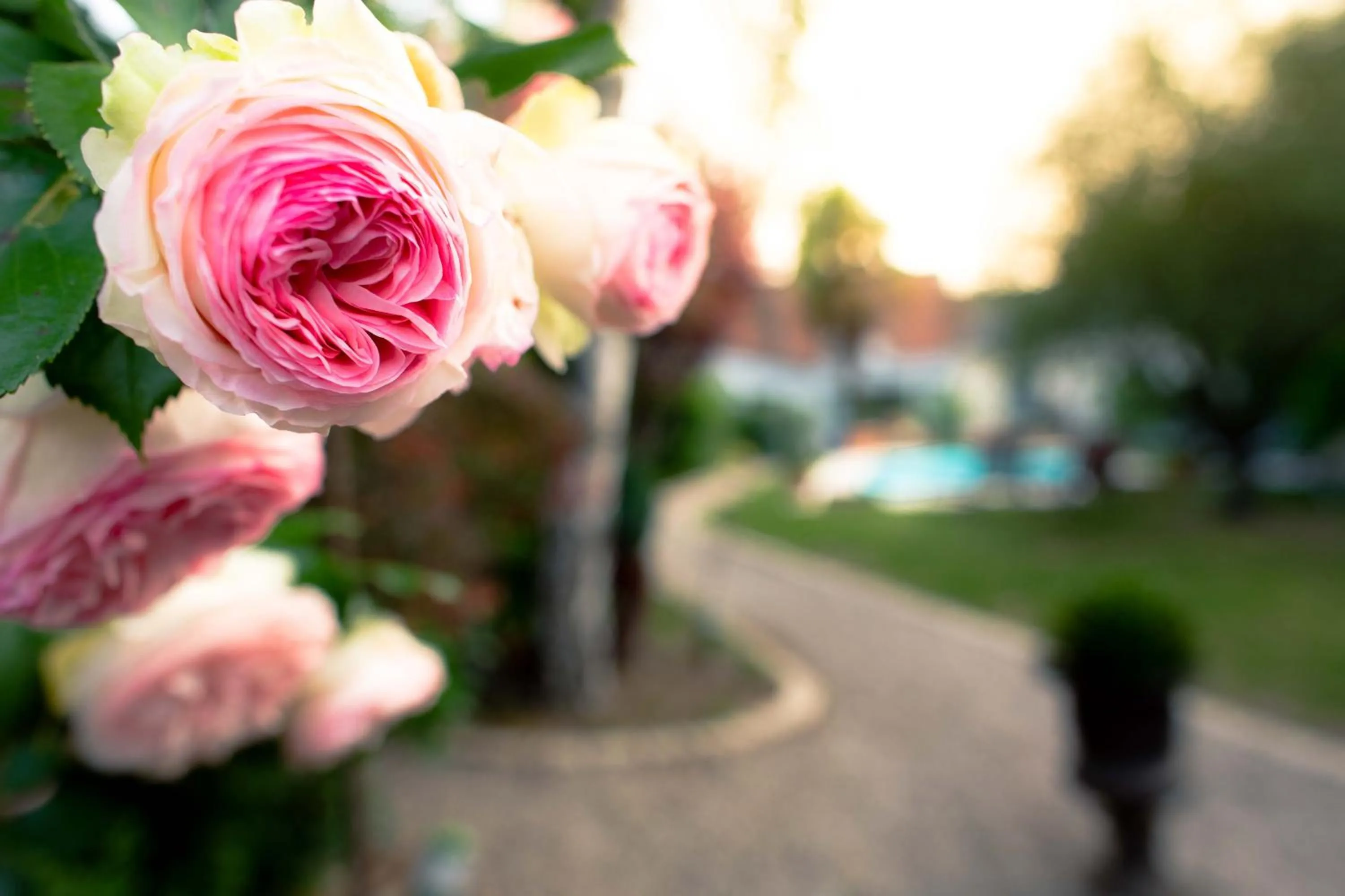 Spring in Hôtel Spa - Au Charme Rabelaisien