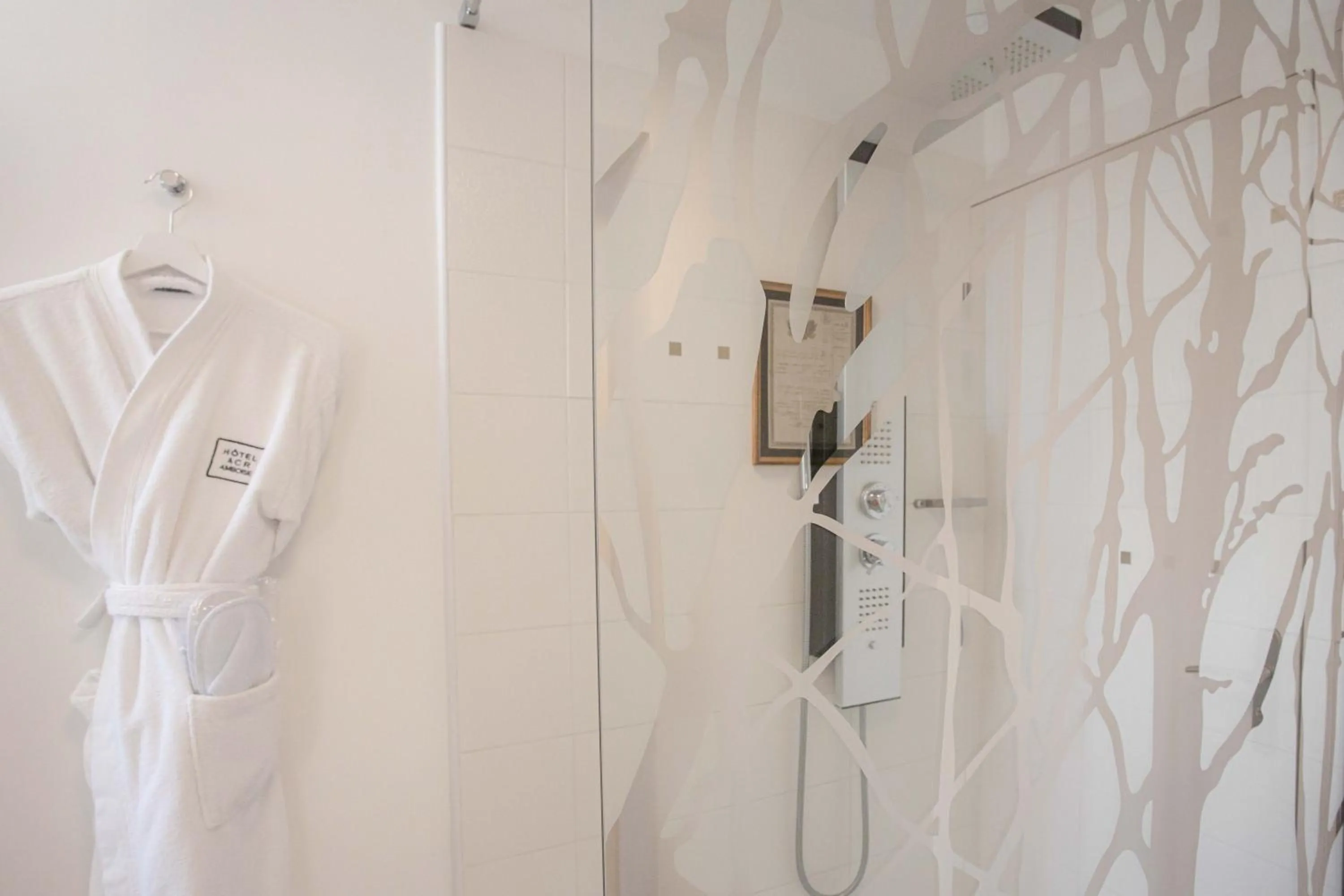 Shower in Hôtel Spa - Au Charme Rabelaisien