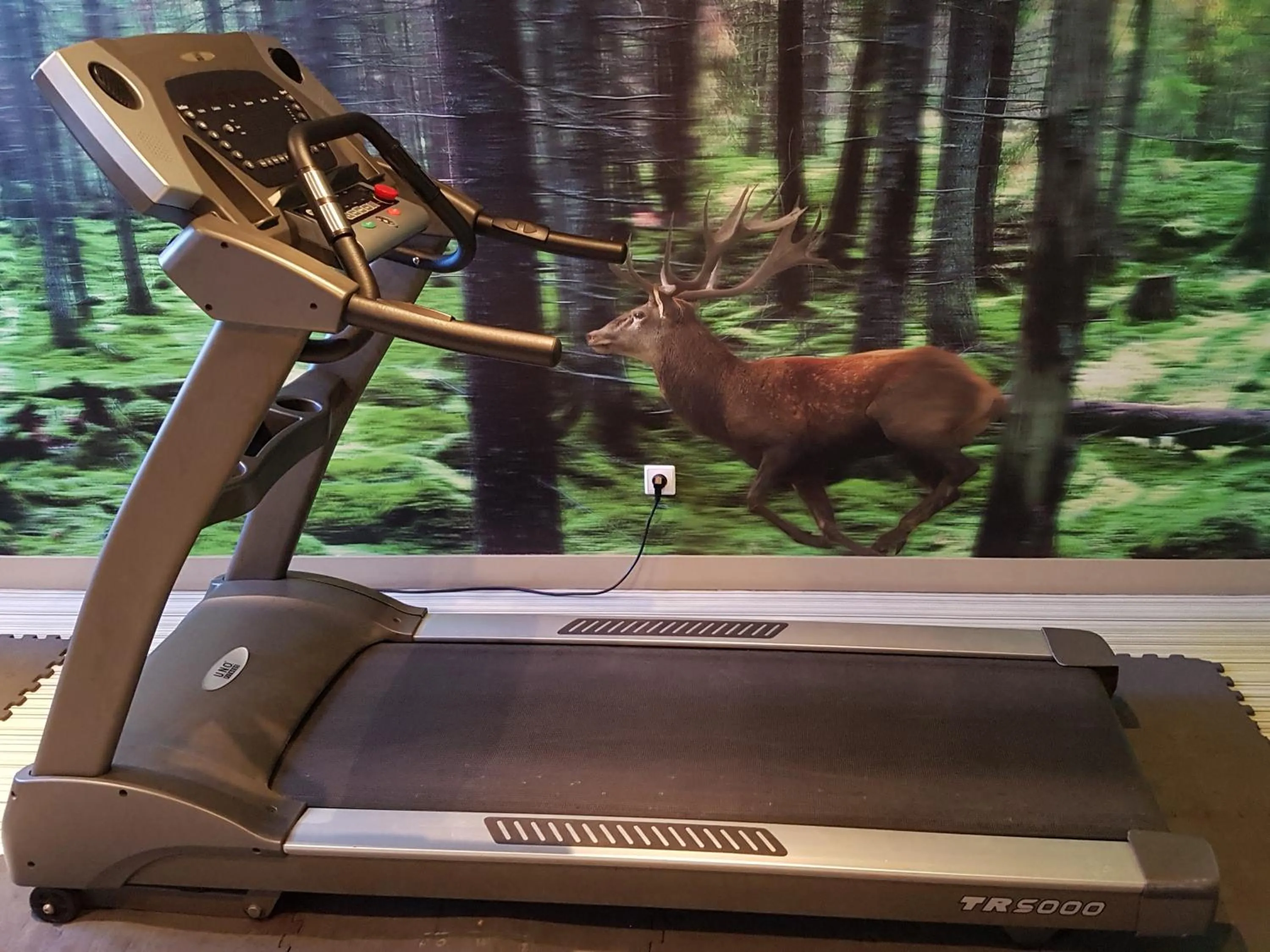 Fitness centre/facilities in ibis Styles Compiegne