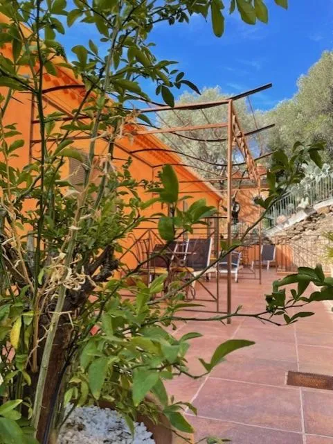 Garden in Hostellerie du Cigalou