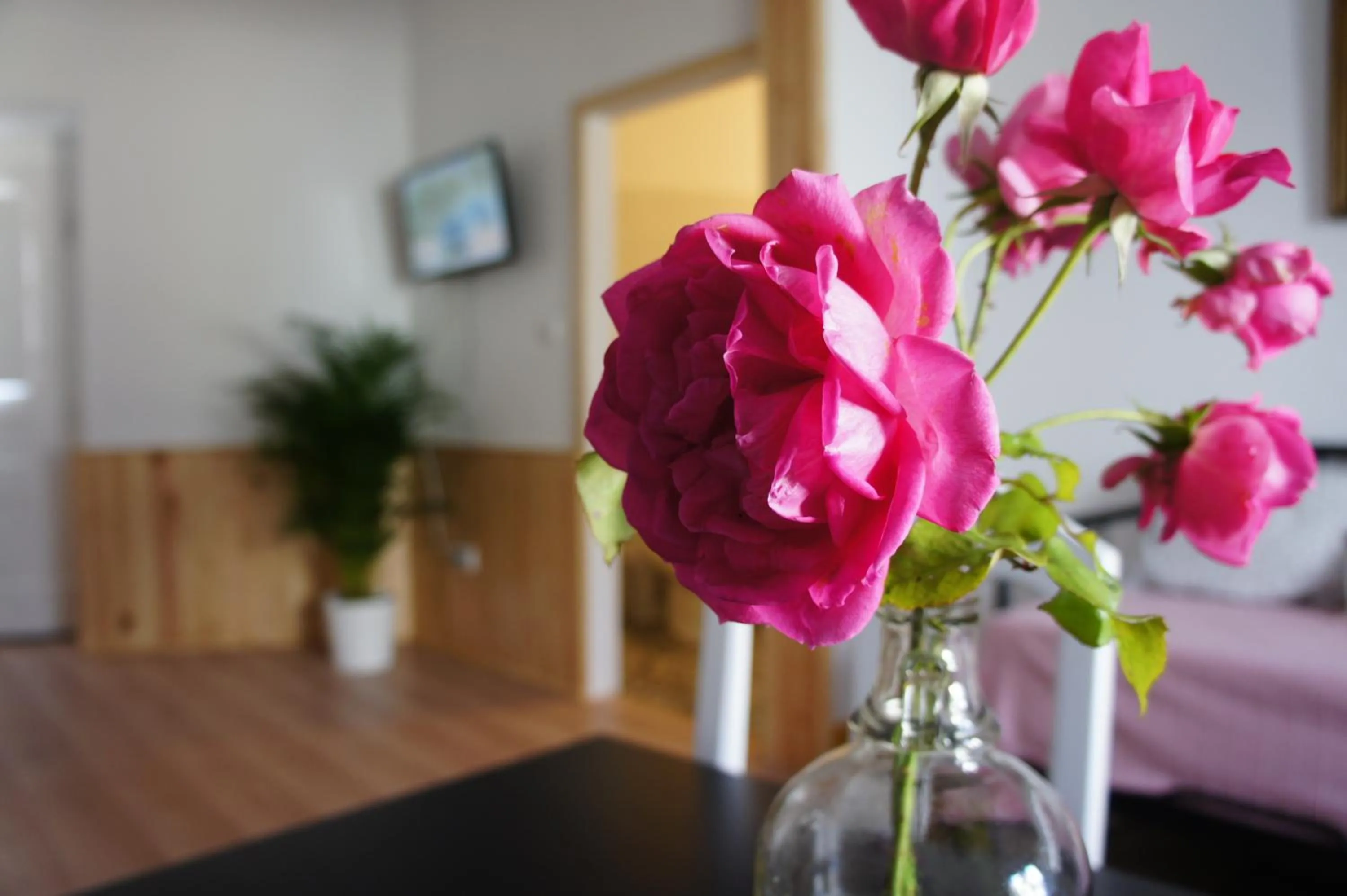 Decorative detail in Olive3 Ericeira