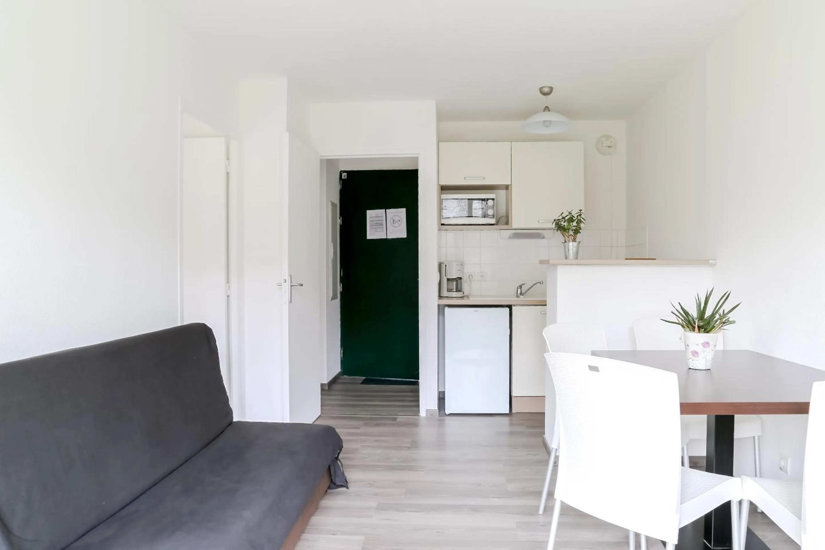 Adonis Hauts De Honfleur