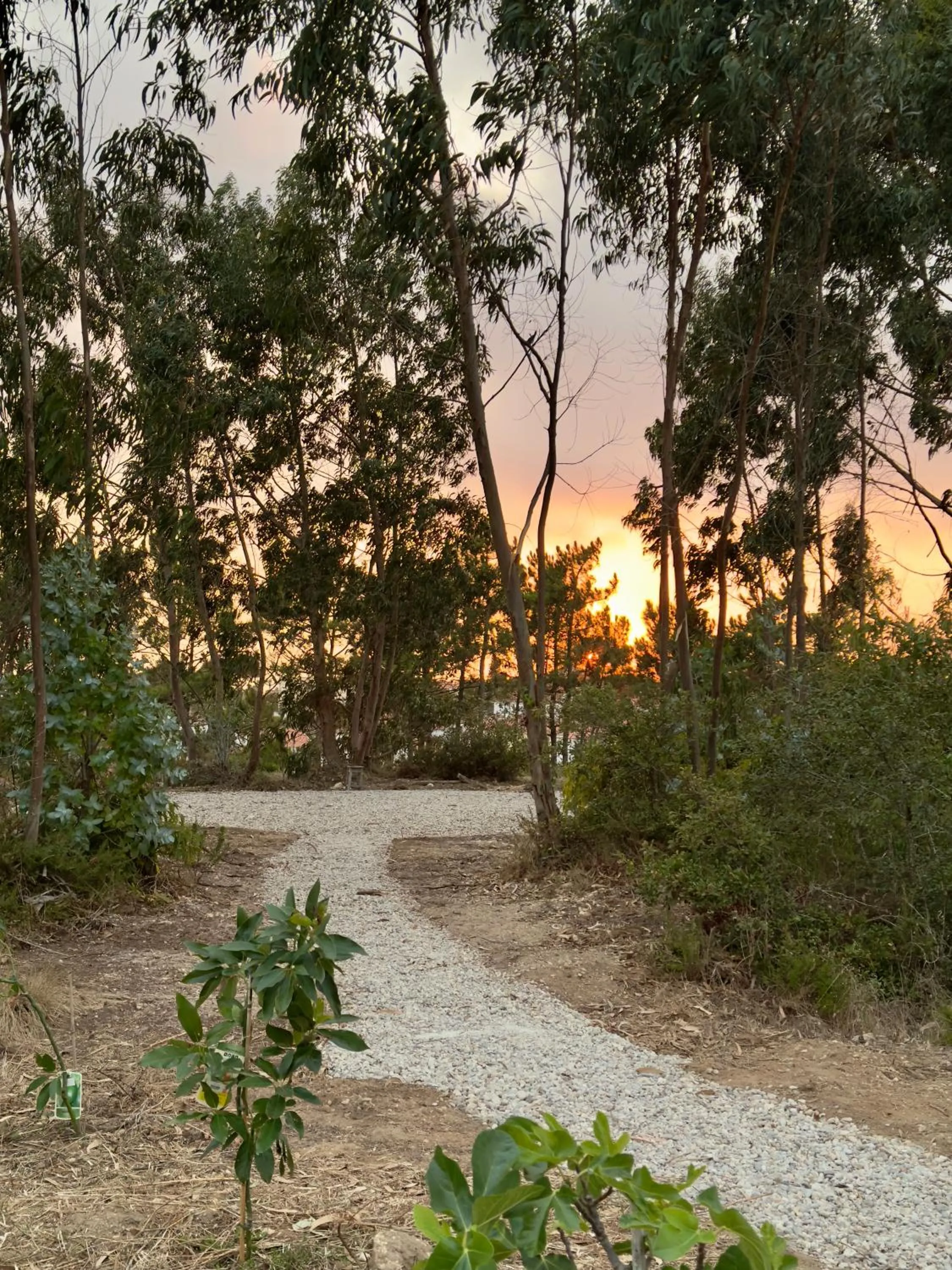 Property building in Boutique Hotel - O House Ericeira Hills