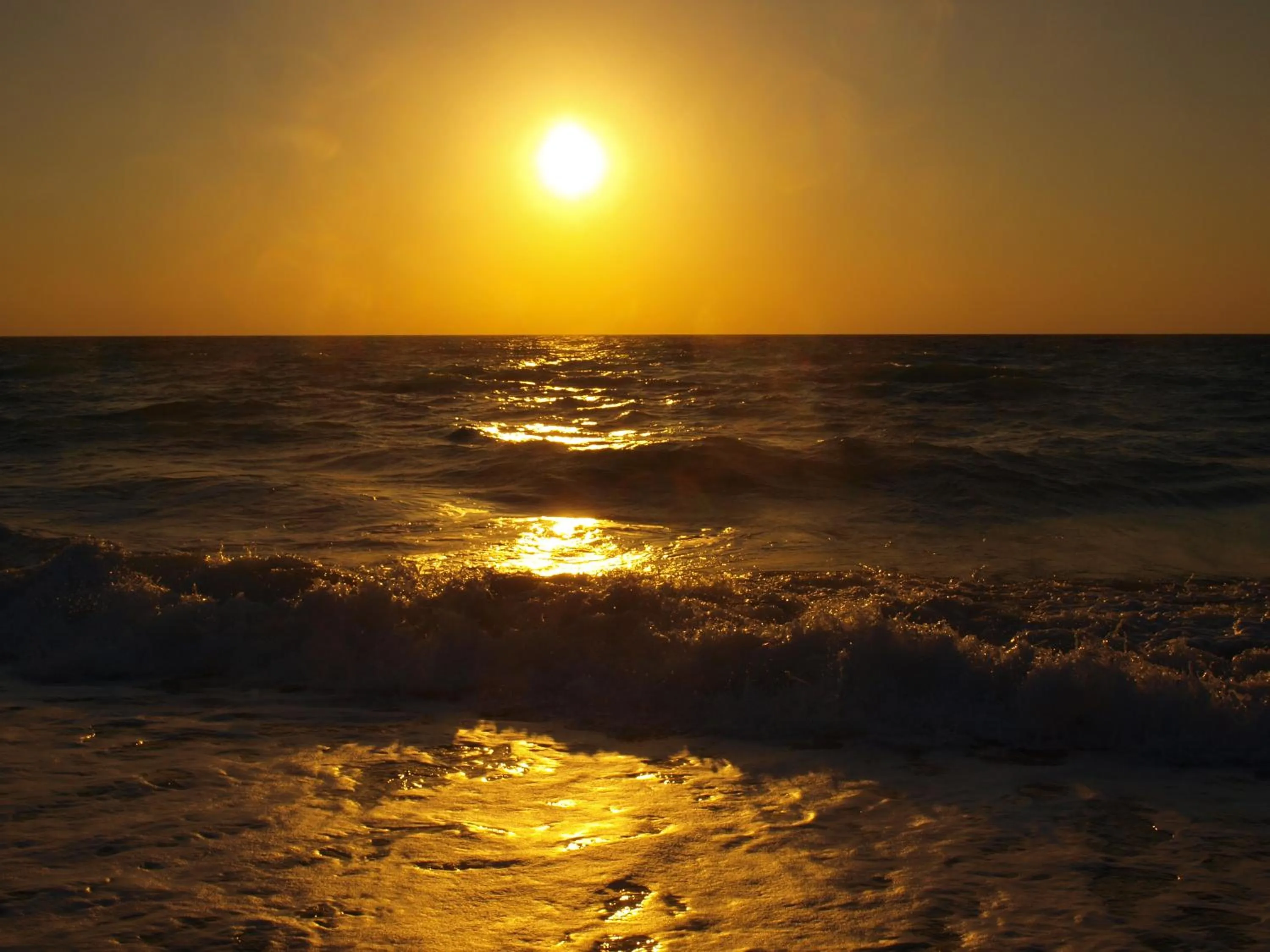 Beach in Dolphin House