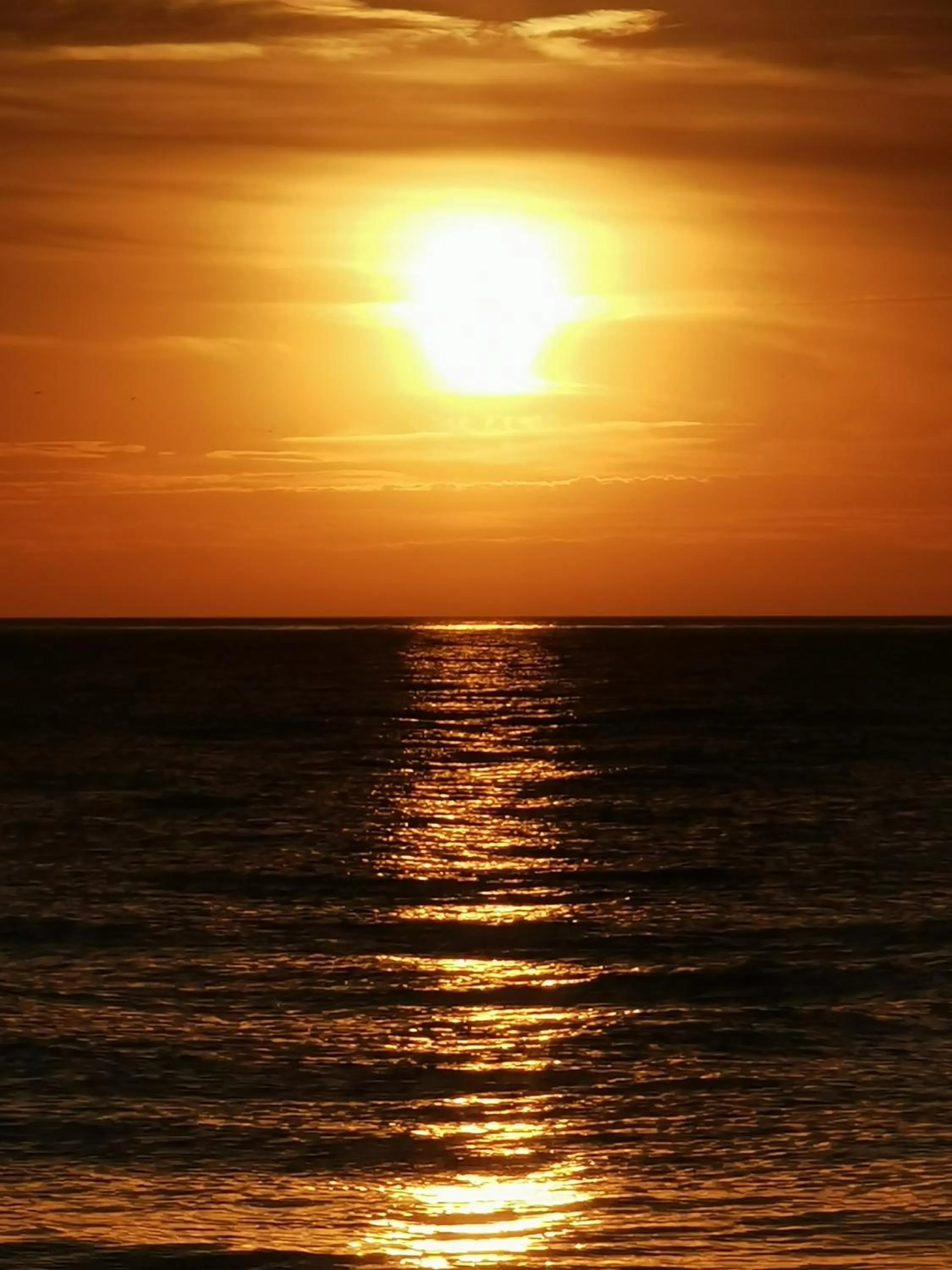 Sea view in Dolphin House