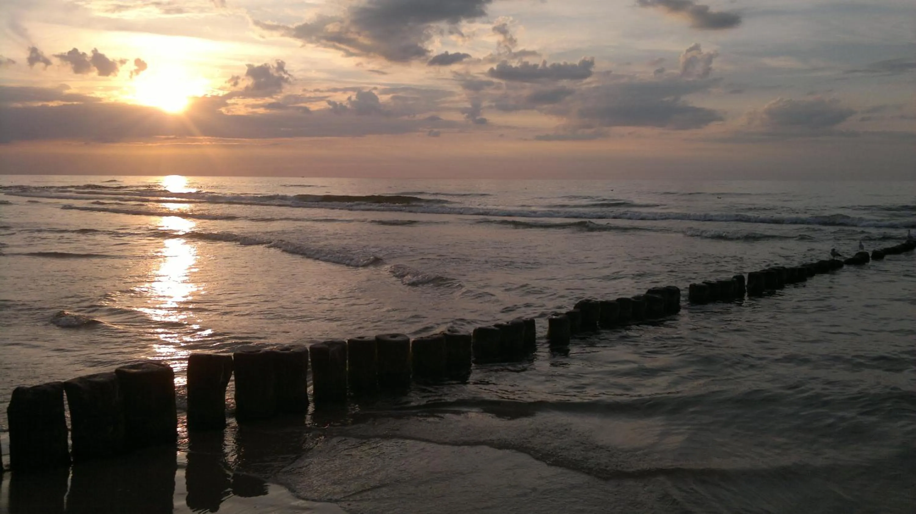 Beach in Dolphin House