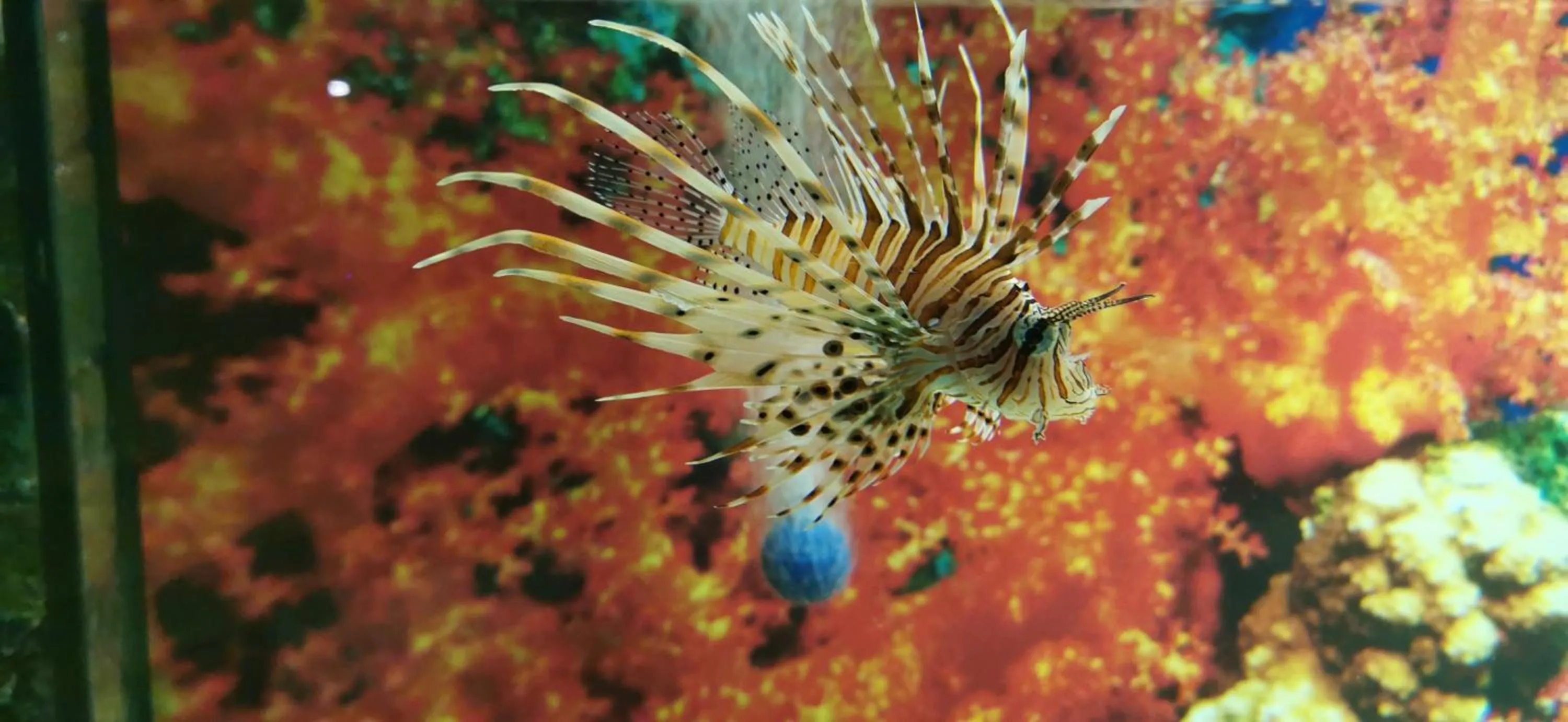 Property building in Dolphin House