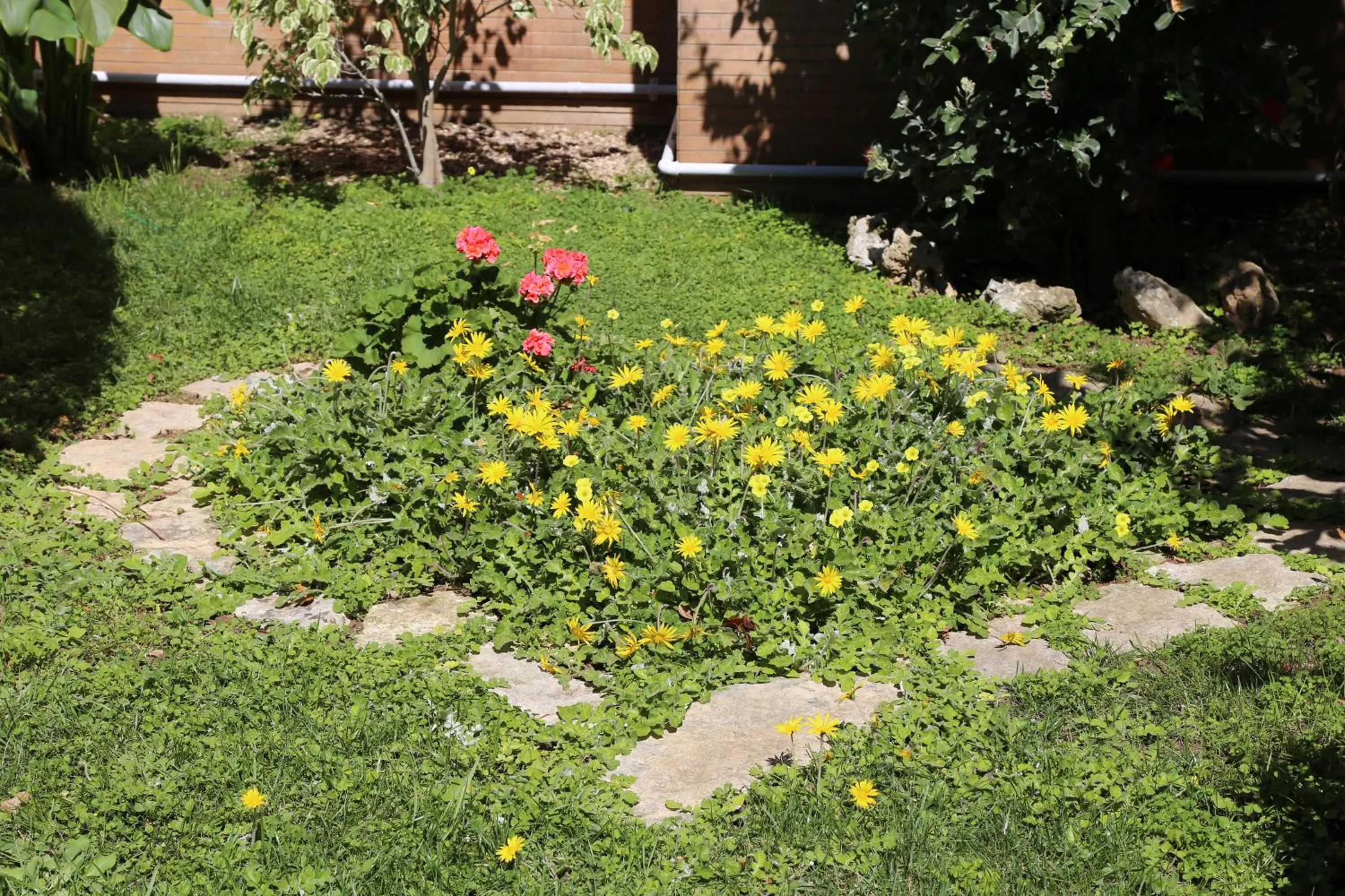 Virò House