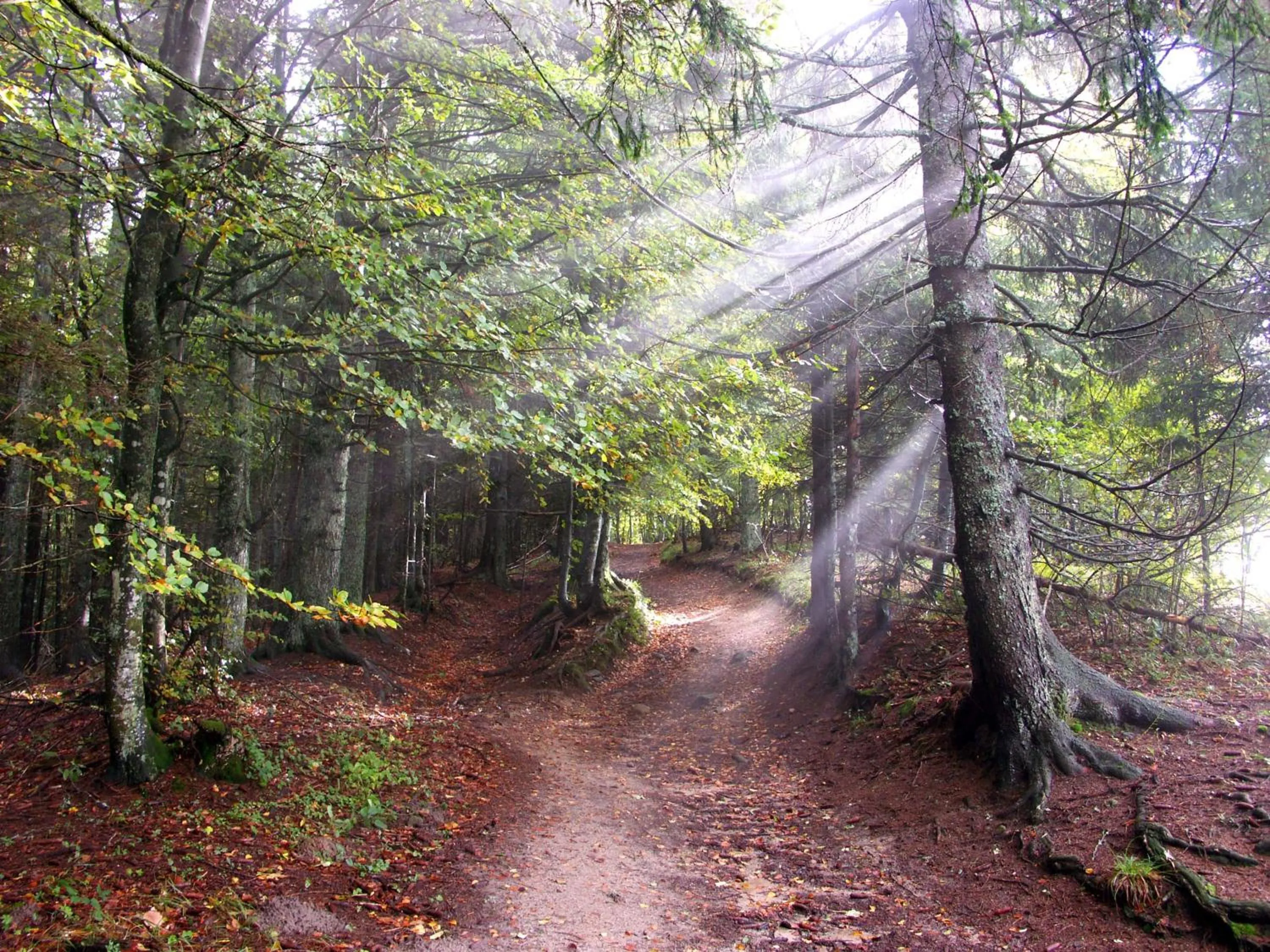 Spring in Hôtel Le Christania