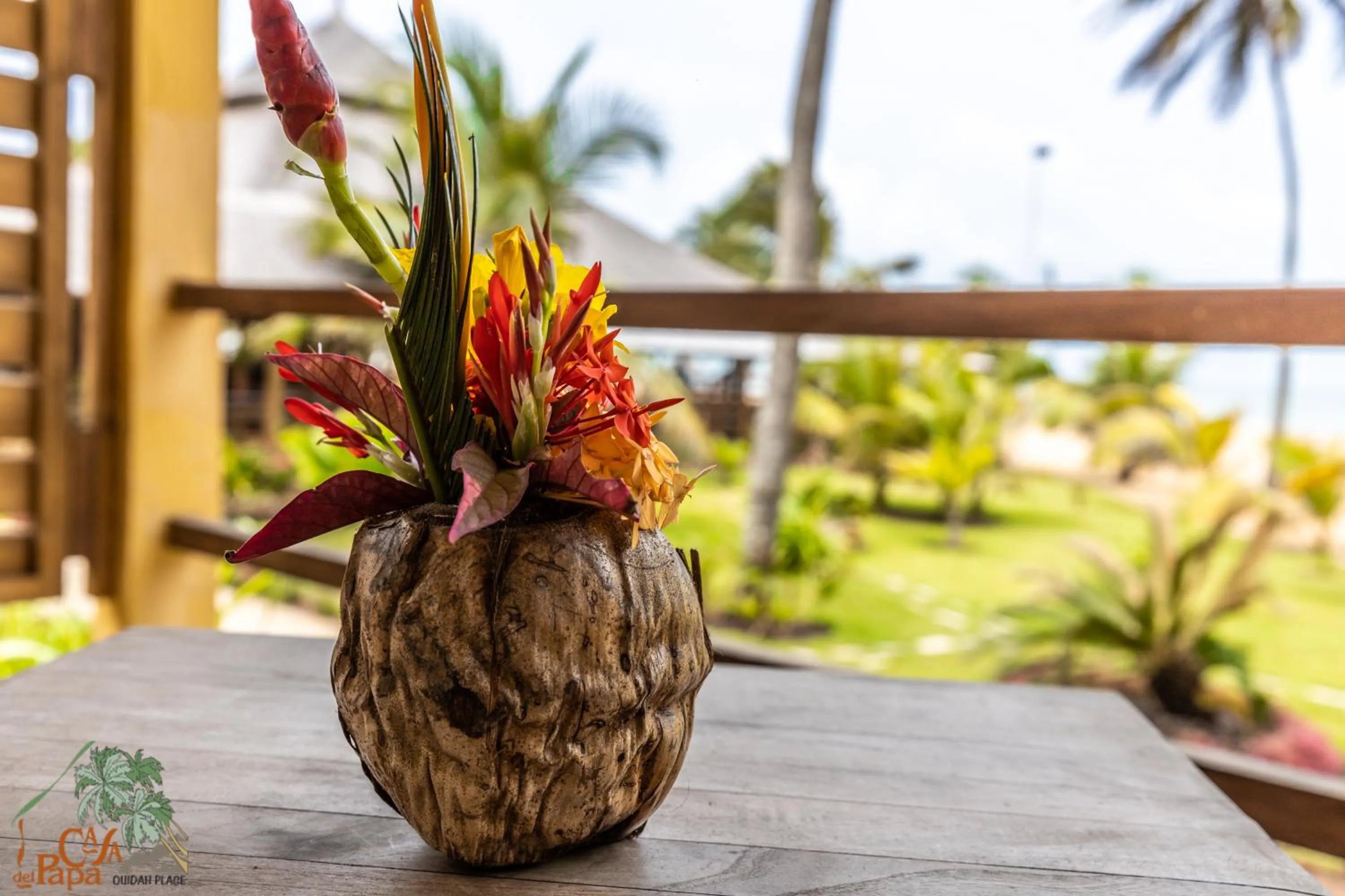 Spring in Casa Del Papa Resort & SPA