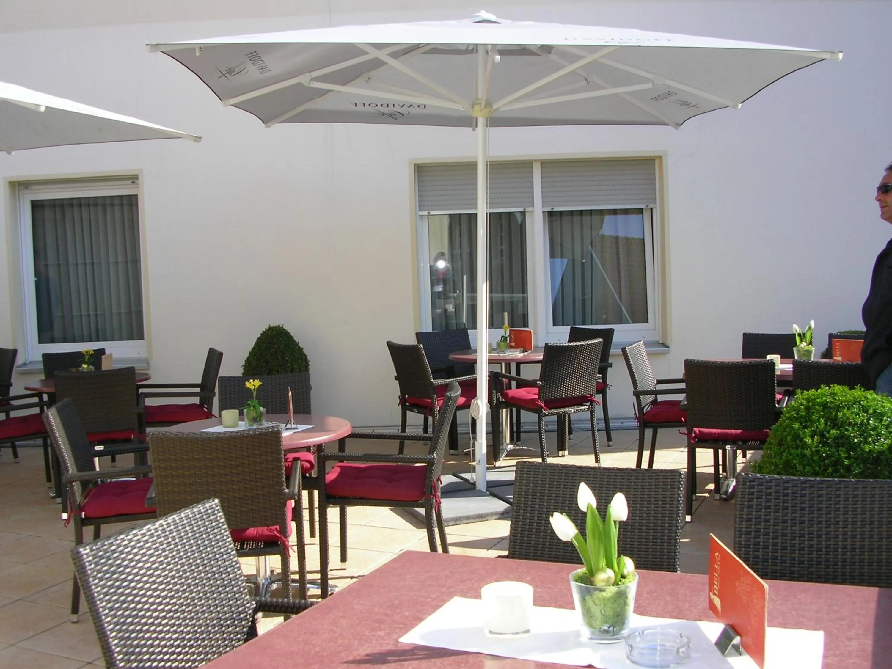 Patio in Hotel Amadis