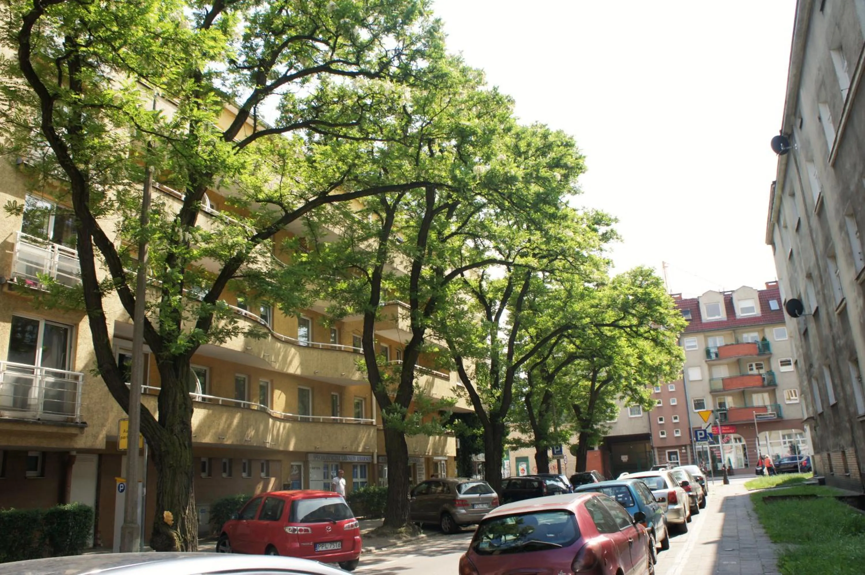Off site in Apartament Poznań Jeżyce