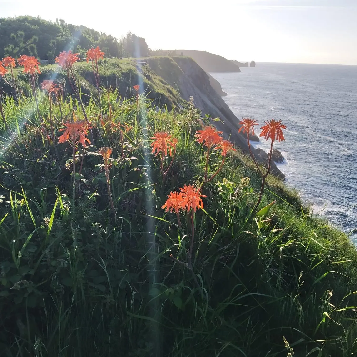 Nearby landmark in Hotel Puerto de Llanes