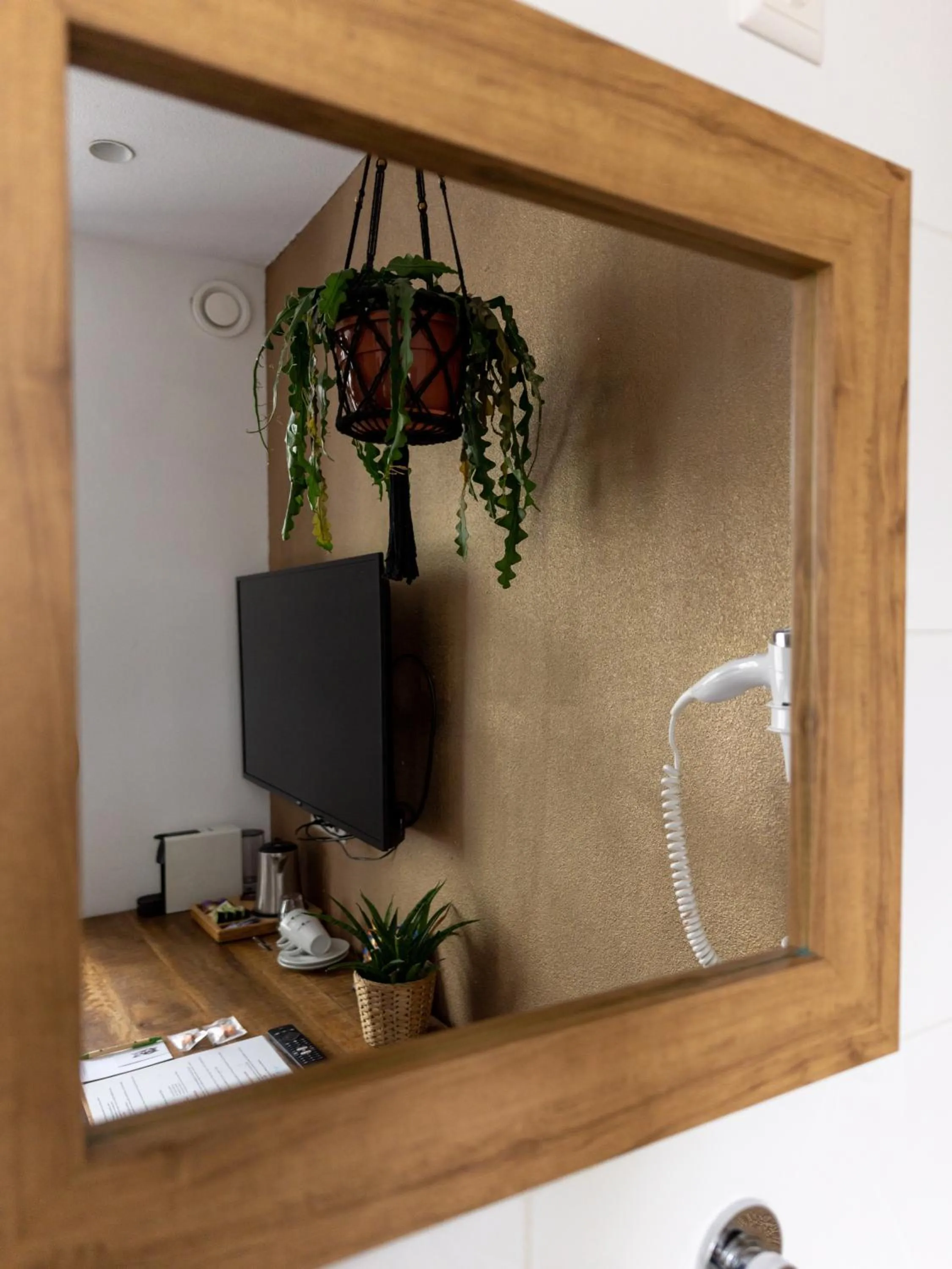 TV and multimedia in Wolf Hotel Kitchen & Bar