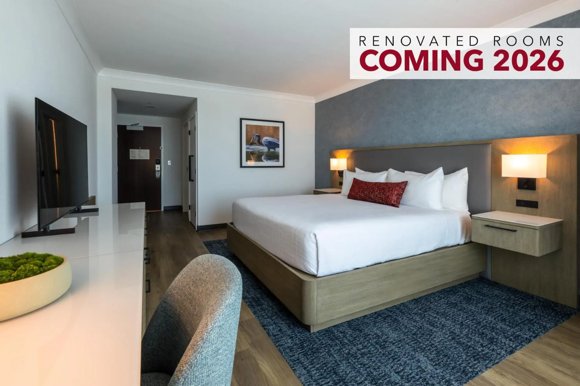 Bed in Miccosukee Casino & Resort