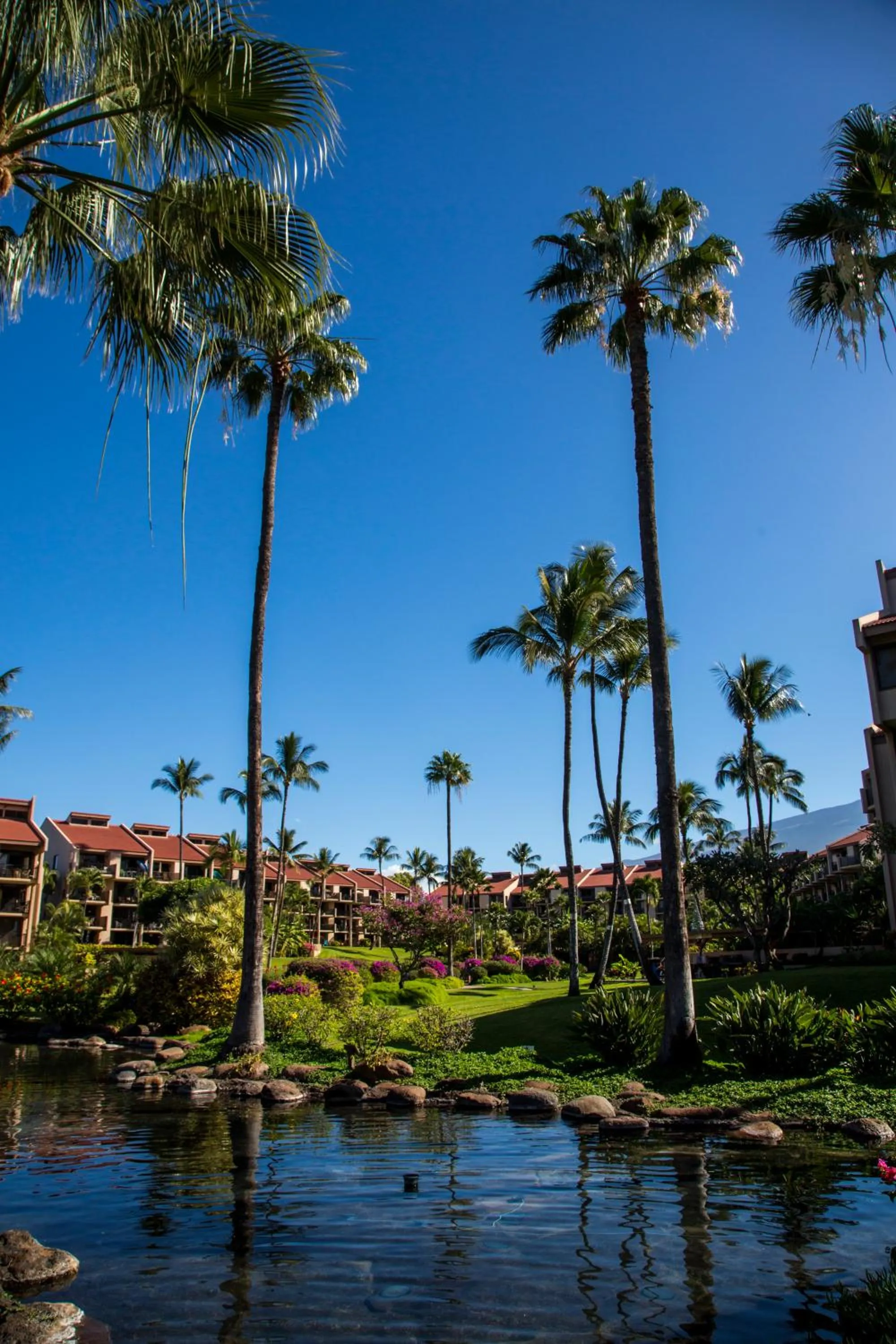 Property building in Castle Kama'ole Sands