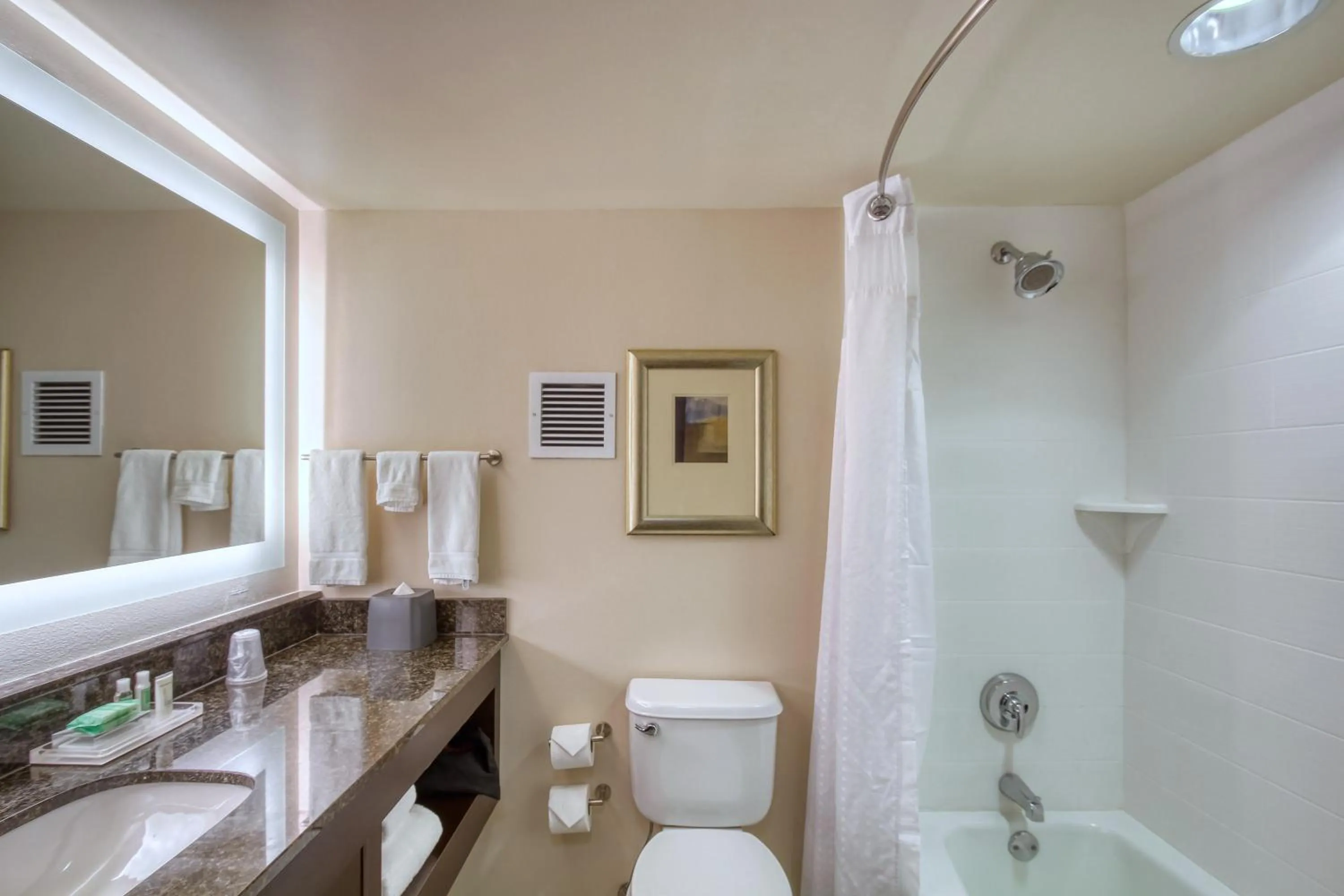 Bathroom in Holiday Inn & Suites Atlanta Airport North by IHG