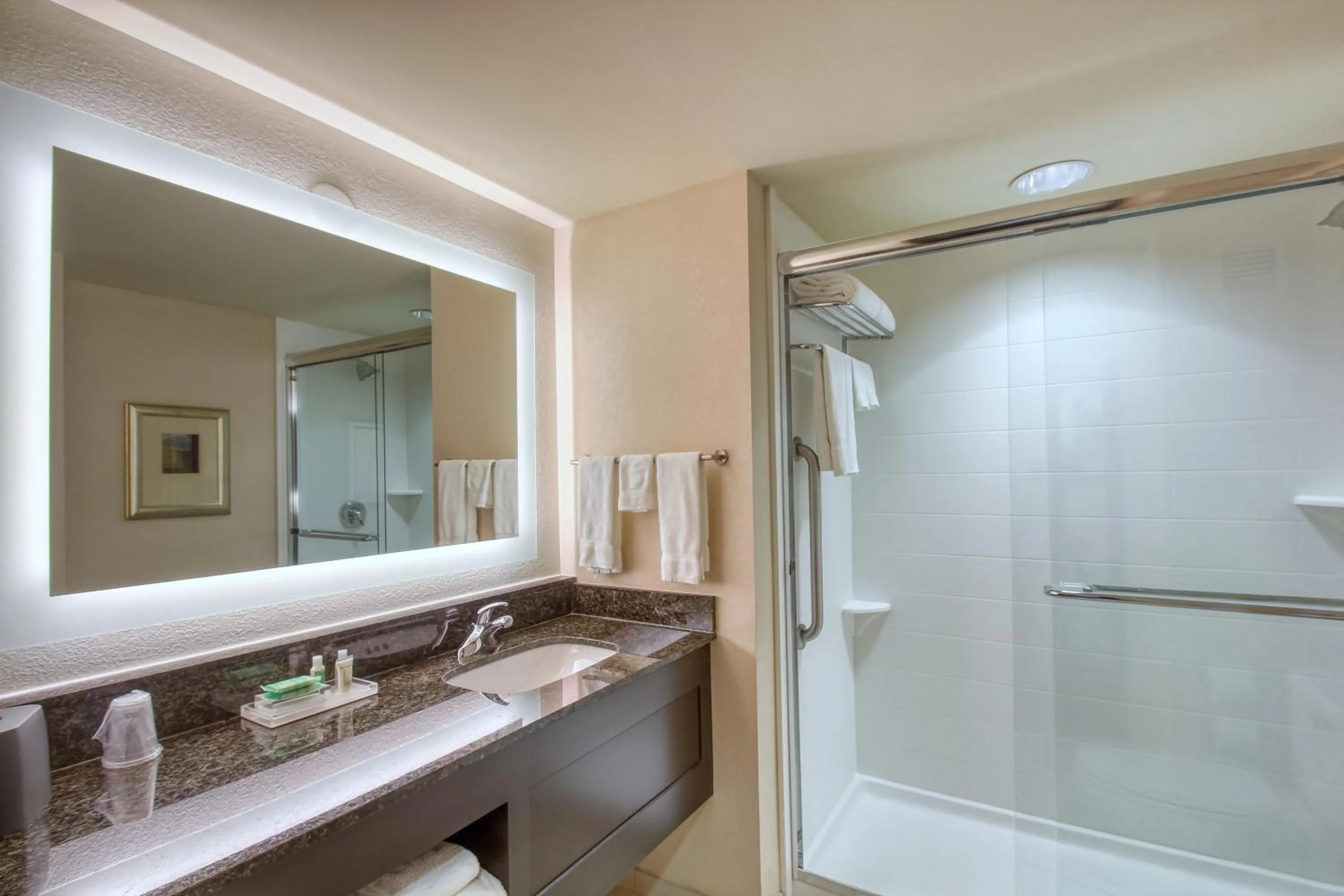 Bathroom in Holiday Inn & Suites Atlanta Airport North by IHG