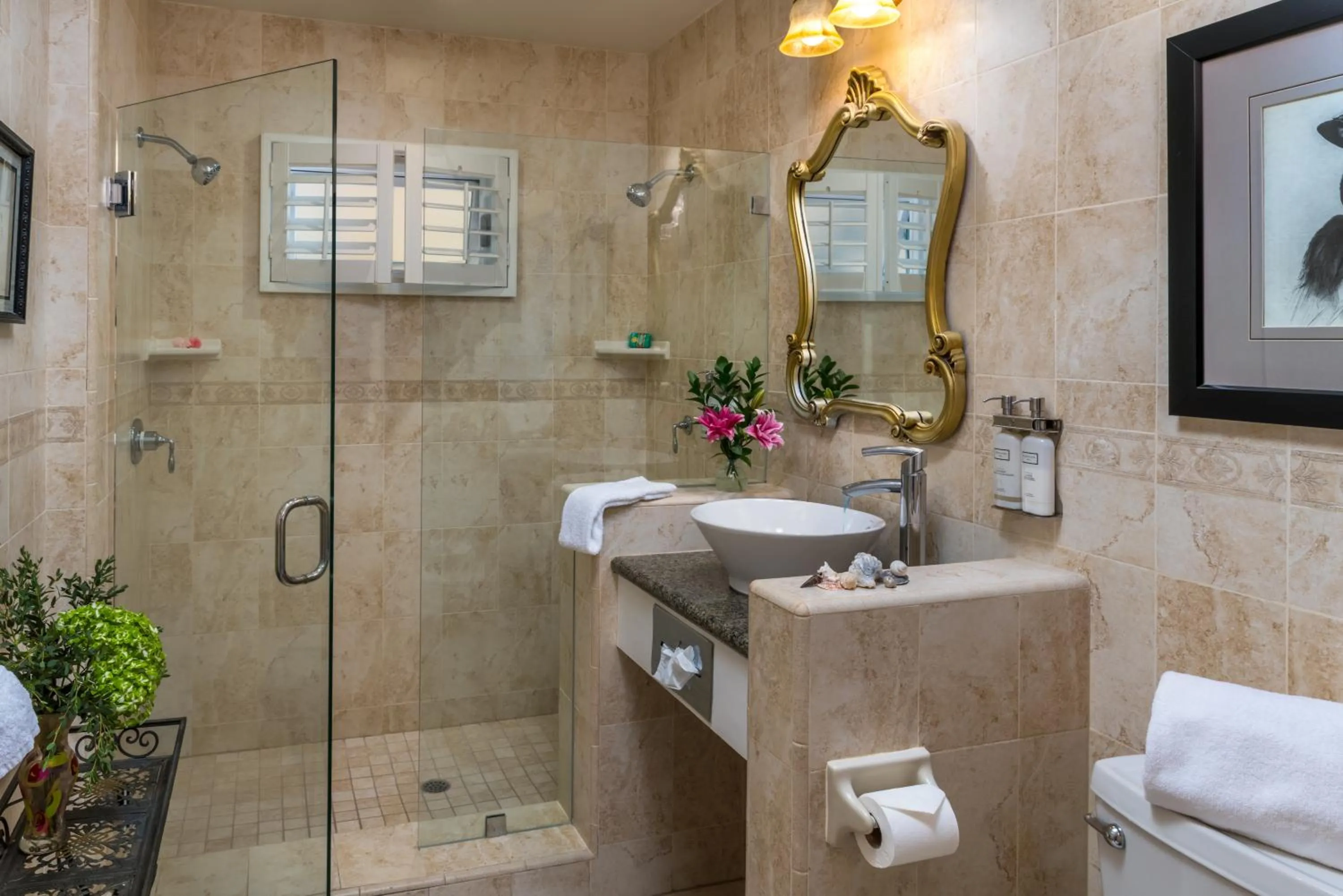 Shower in The Eagle Inn