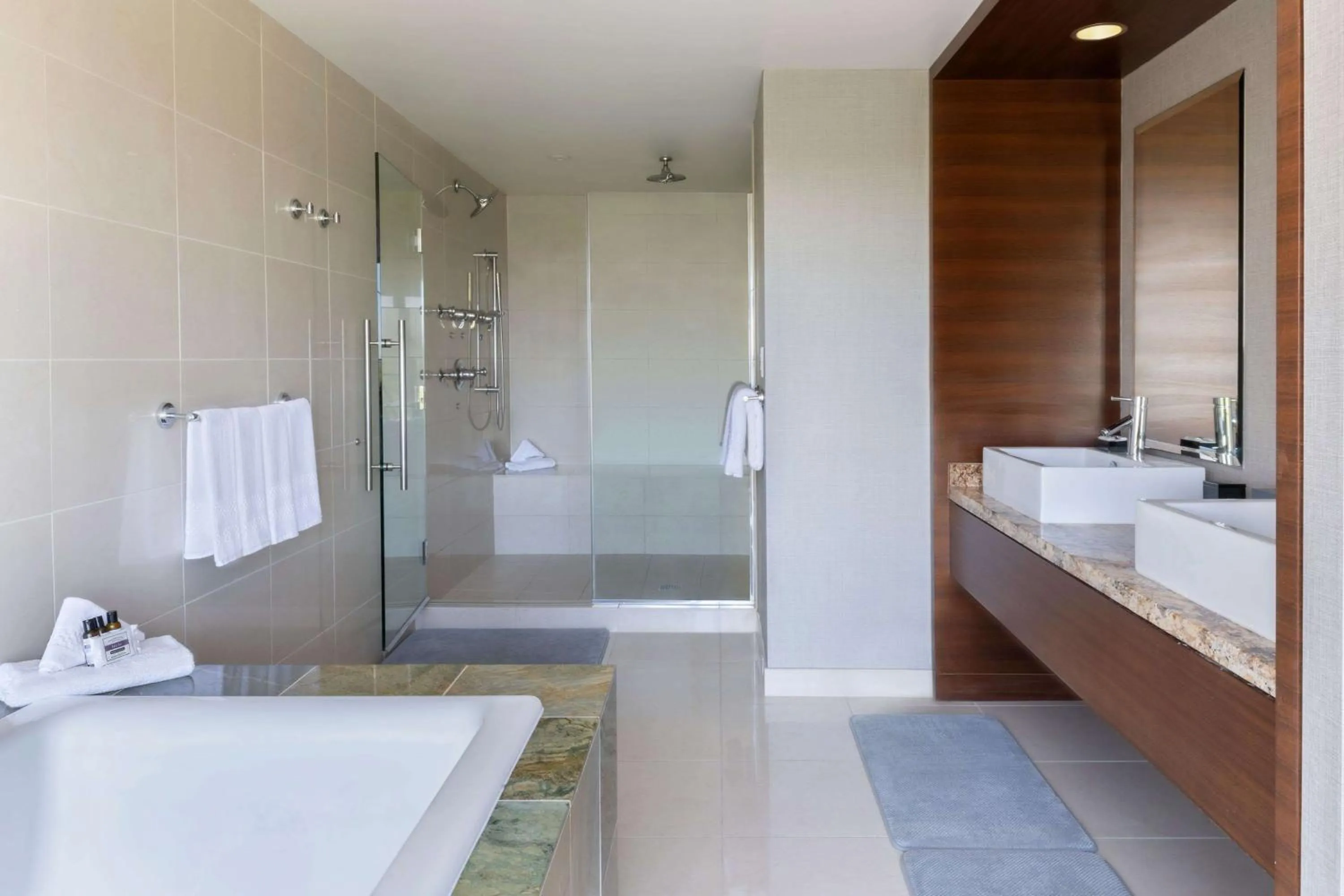 Shower in Hyatt Regency O'Hare Chicago