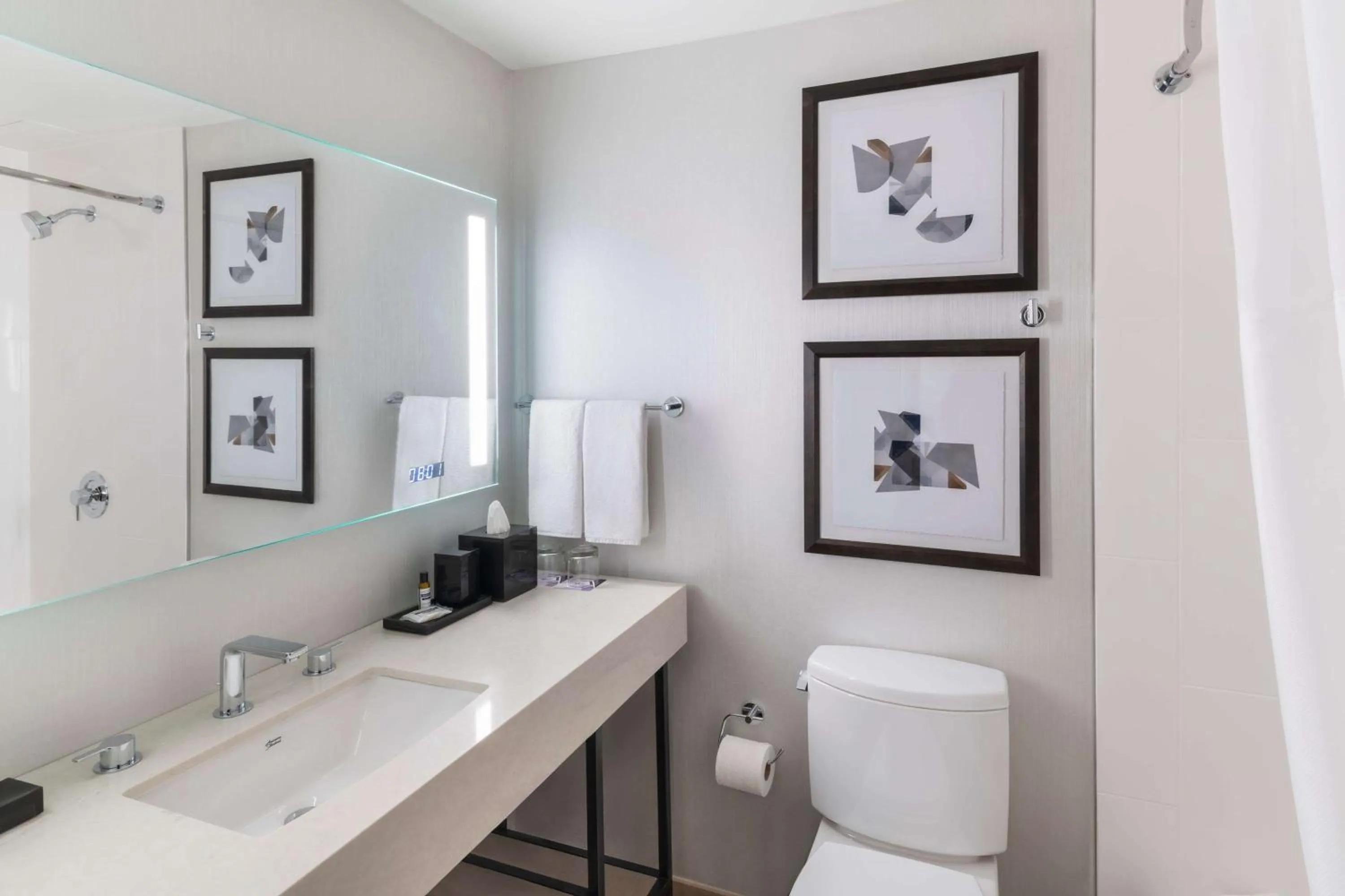 Bathroom in Hyatt Regency O'Hare Chicago