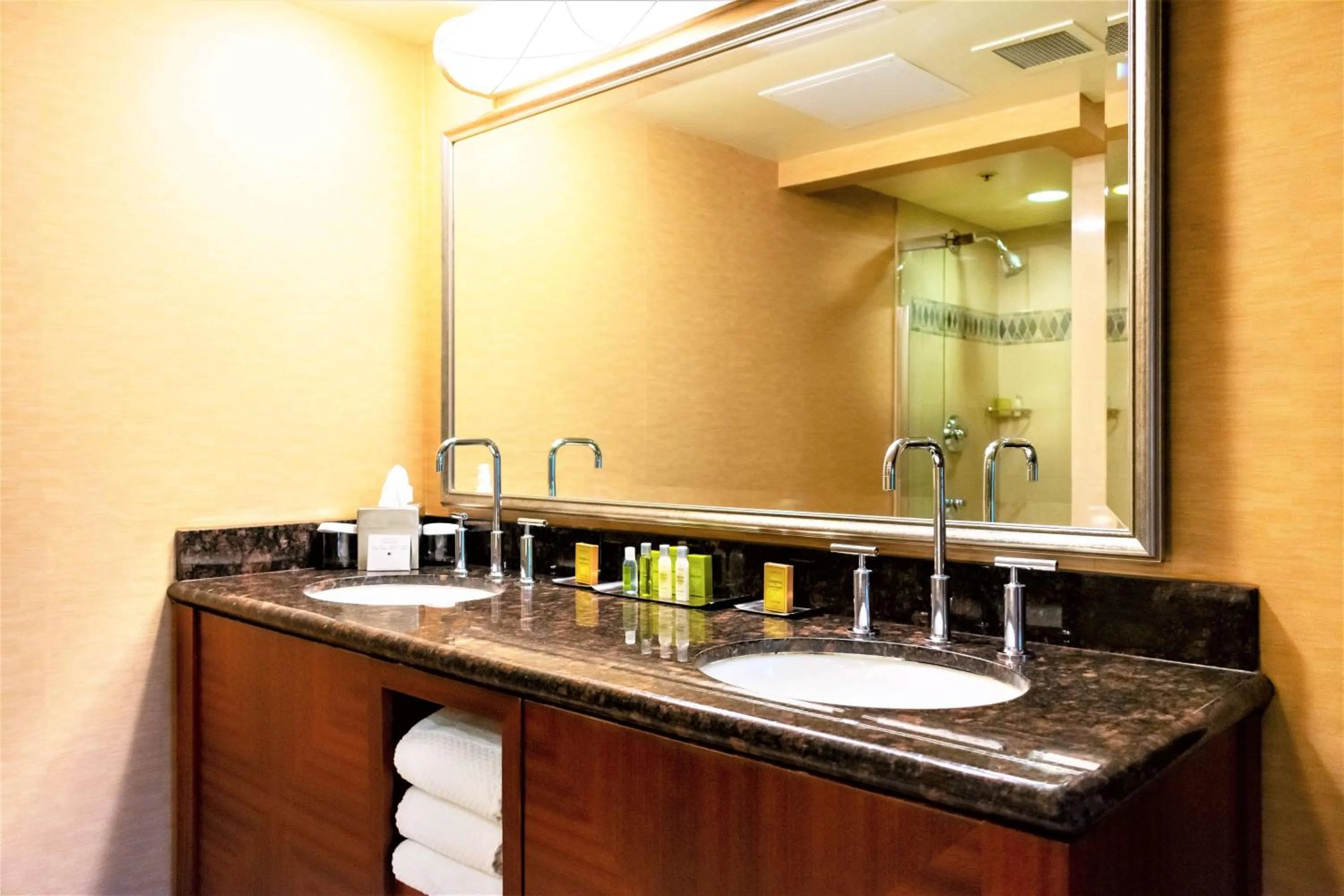 Bathroom in DoubleTree by Hilton San Jose