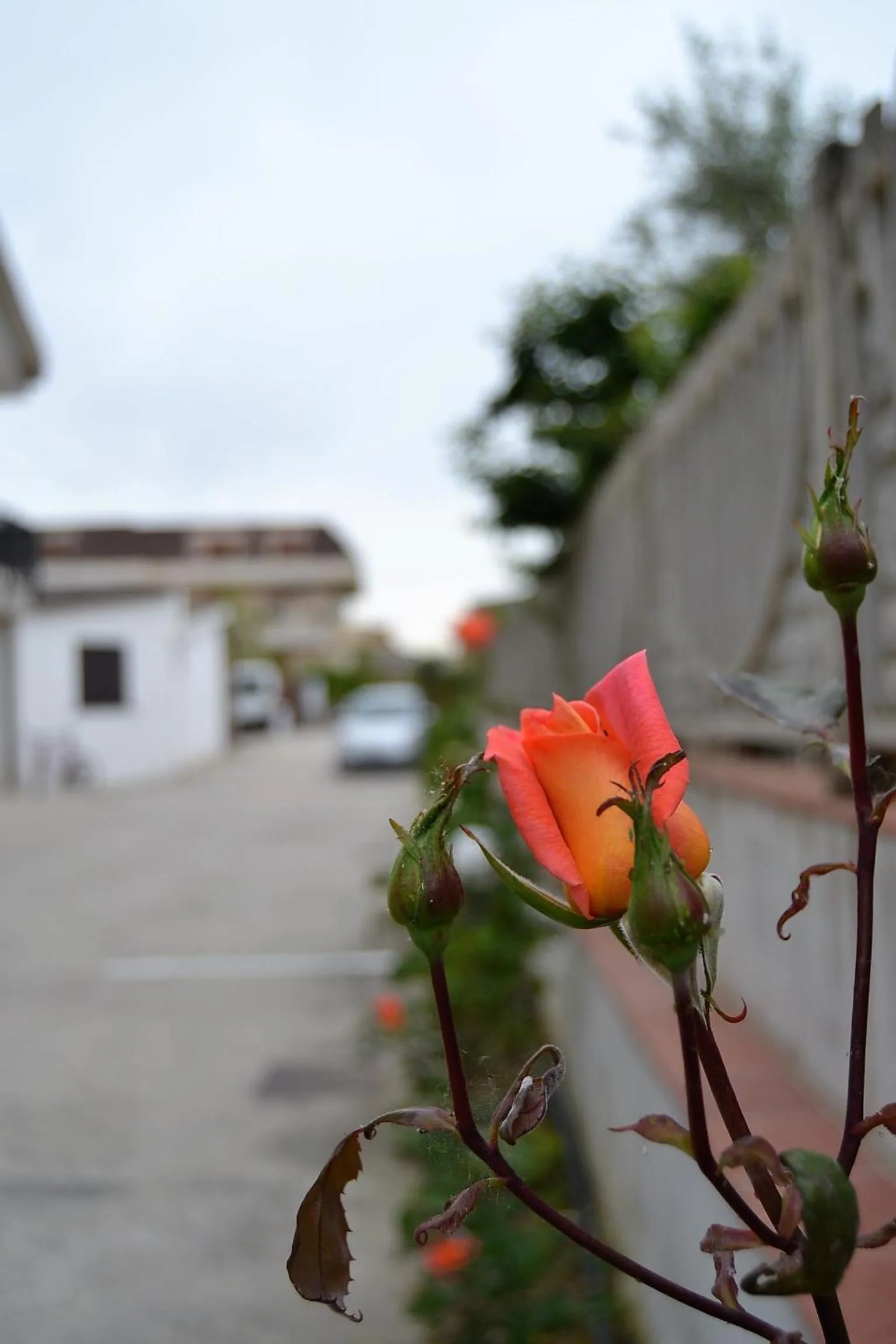 Property building in Il Girasole Formia Guesthouse rooms