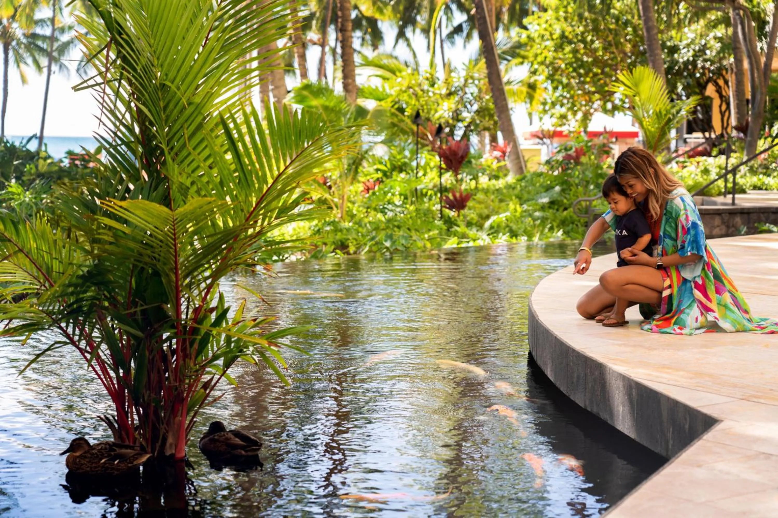 Other in Sheraton Waikiki Beach Resort