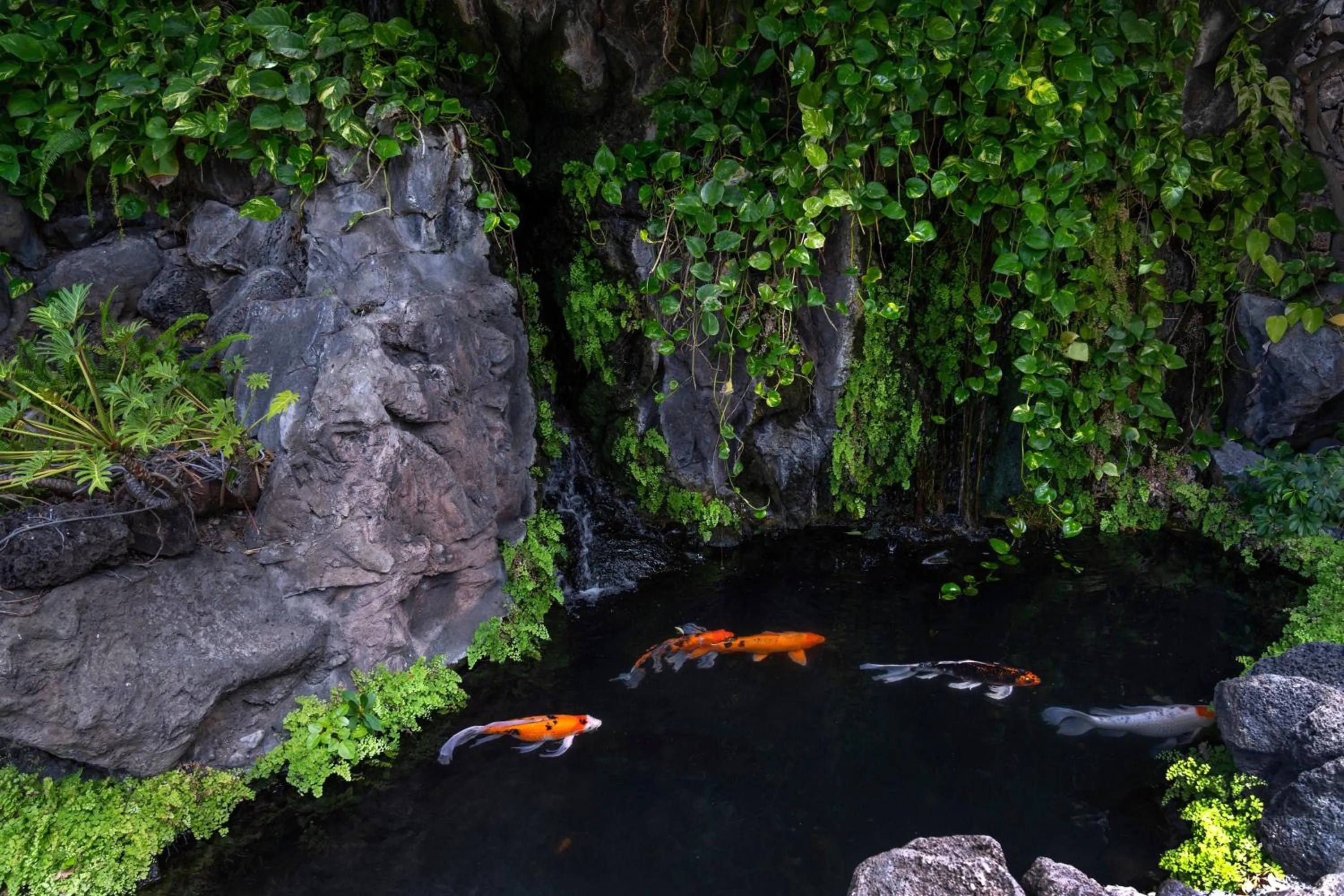 Other in Sheraton Princess Kaiulani Waikiki Beach