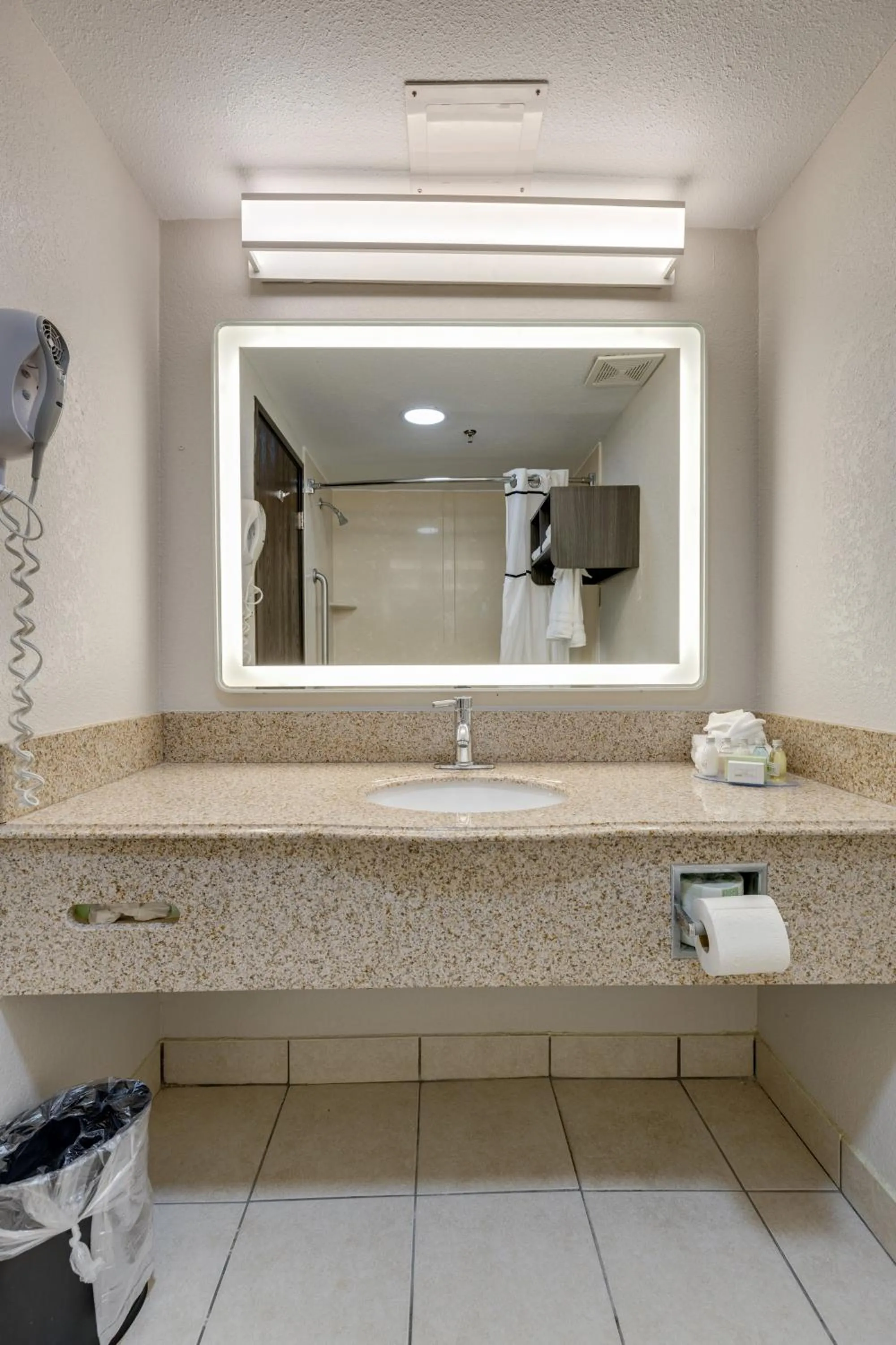 Bathroom in Alexis Inn and Suites Hotel