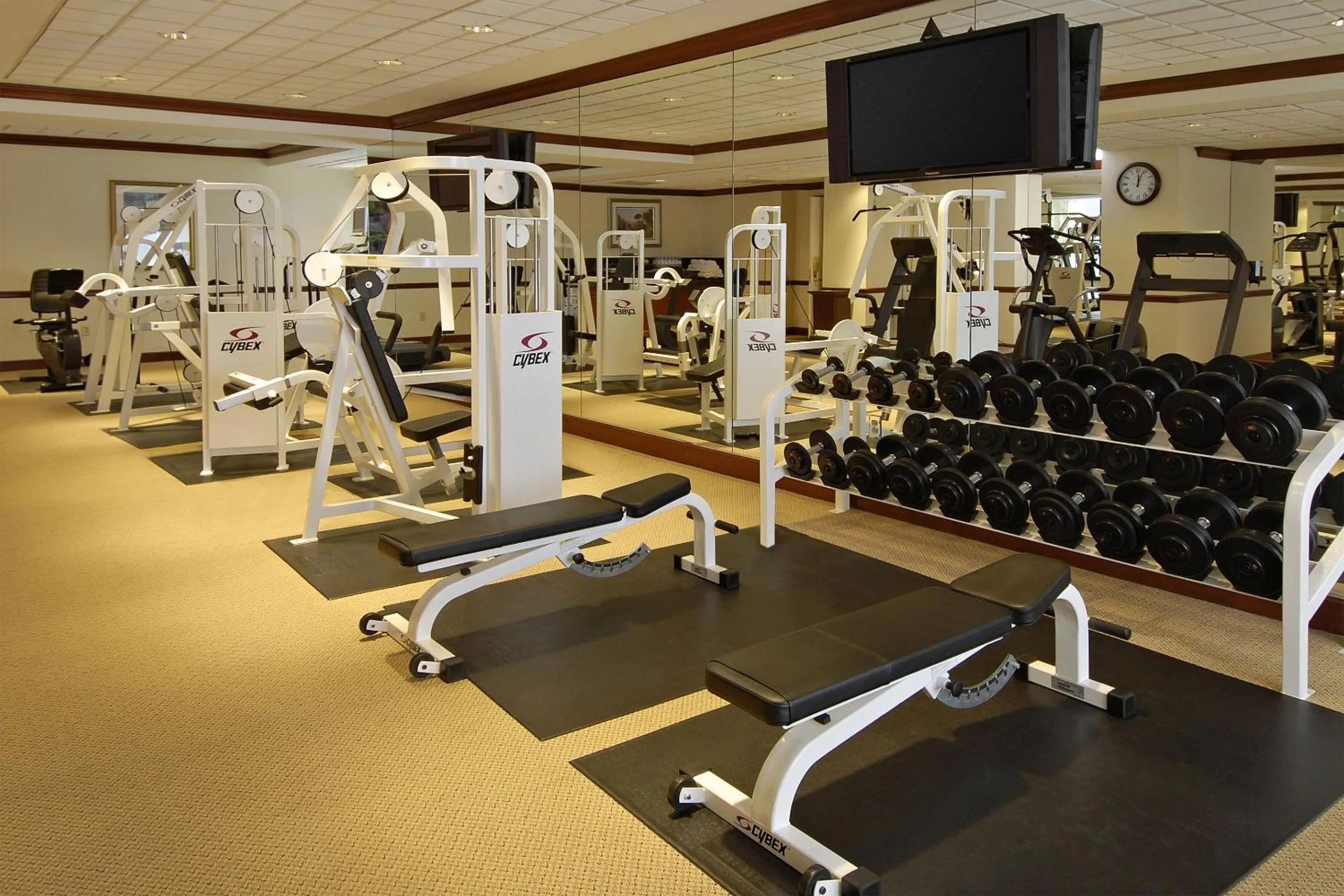 Fitness centre/facilities in Omni San Francisco